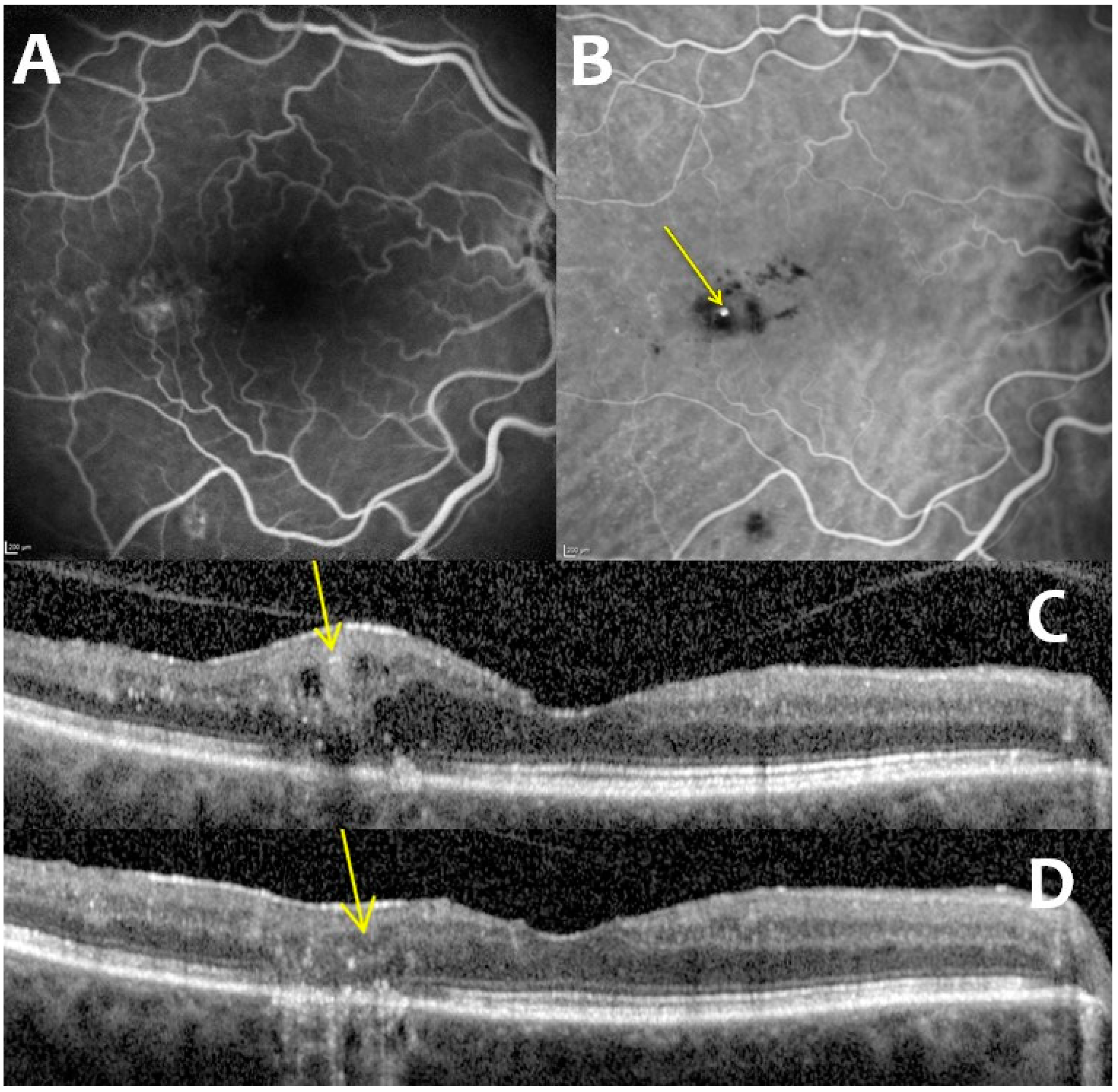 Pharmaceutics 15 00308 g001