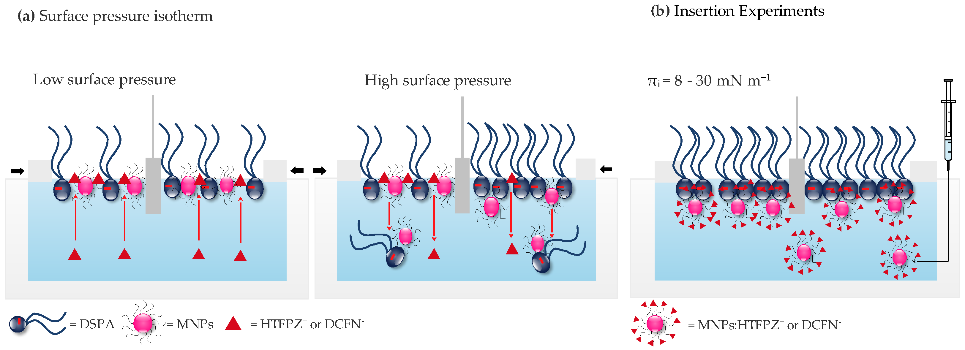 Pharmaceutics 15 00311 sch002 Pharmaceutics 15 00311 sch002