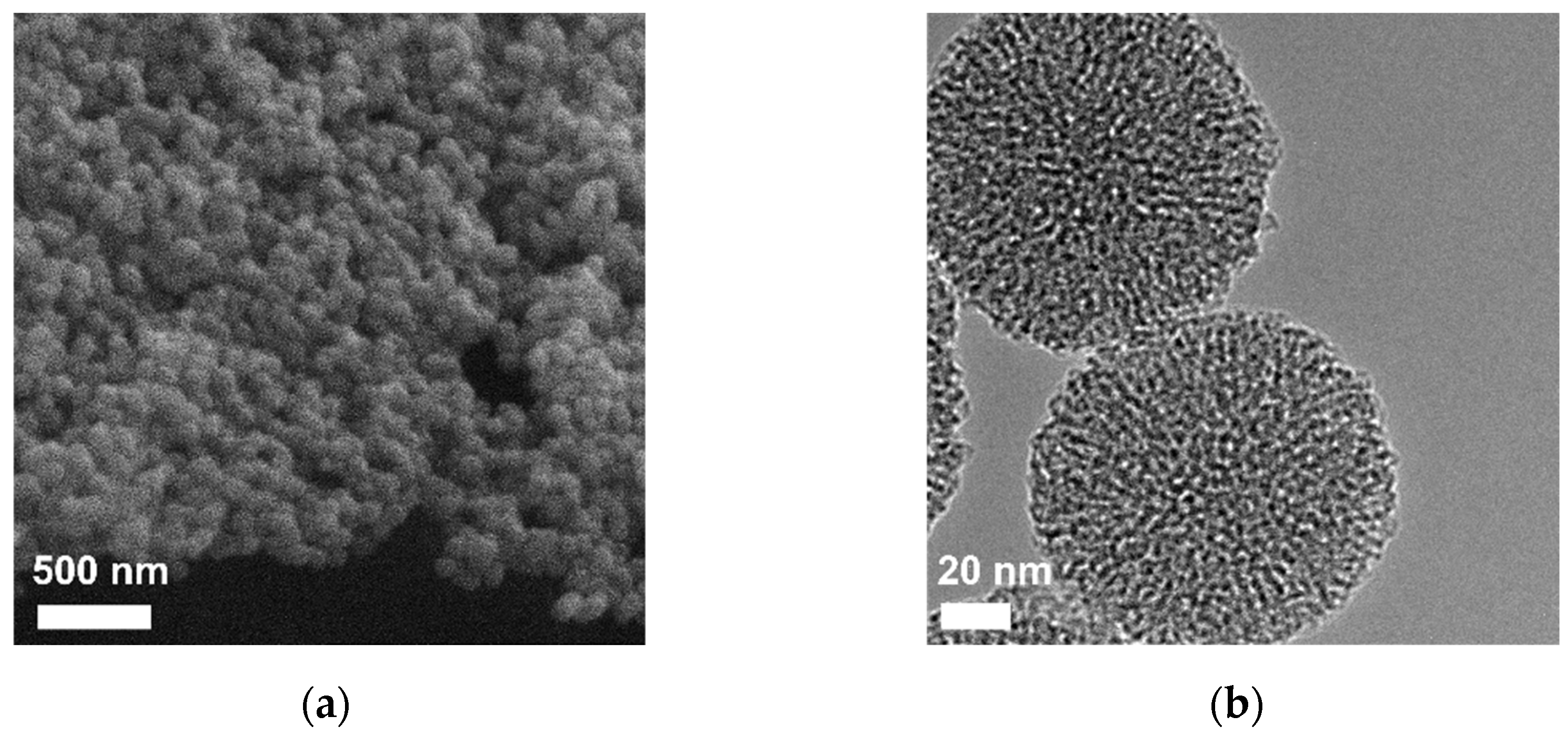 Pharmaceutics 15 00312 g003 Pharmaceutics 15 00312 g003