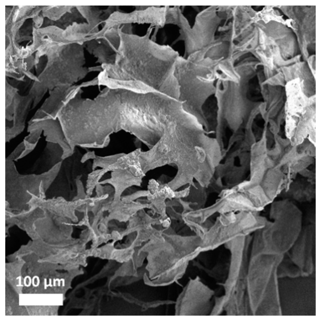Pharmaceutics 15 00312 g011 Pharmaceutics 15 00312 g011