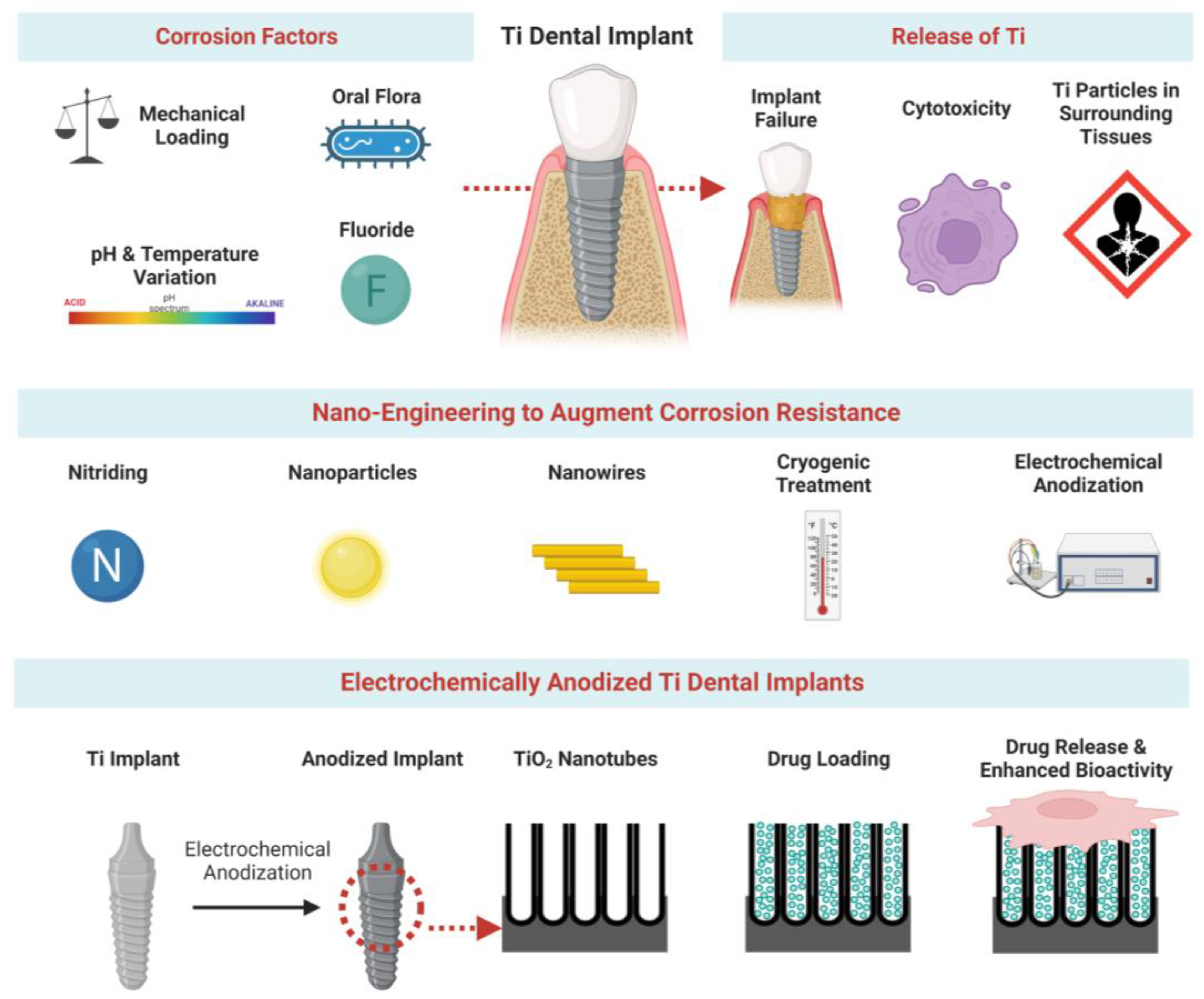 Pharmaceutics 15 00315 g001