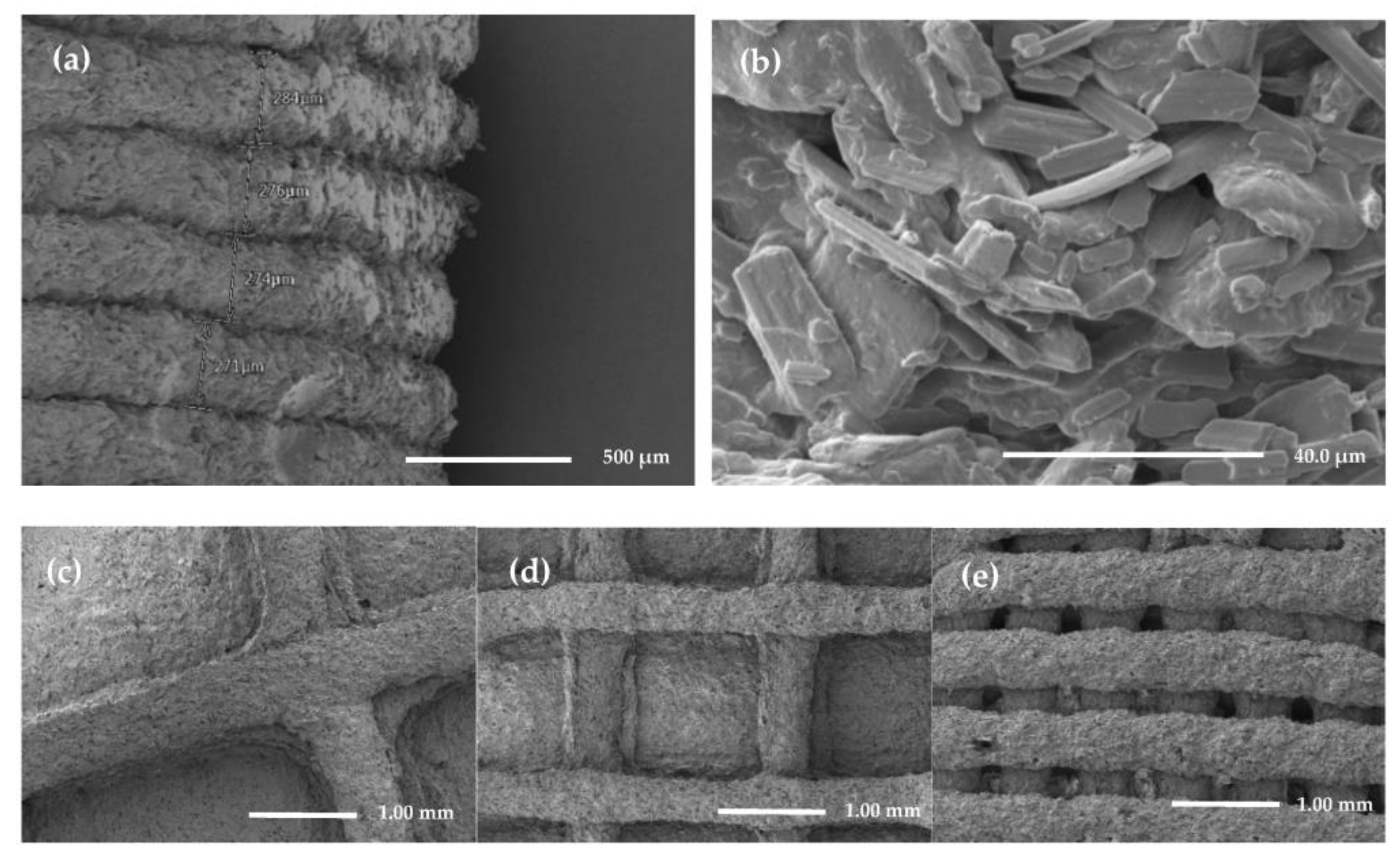 Pharmaceutics 15 00316 g003 Pharmaceutics 15 00316 g003