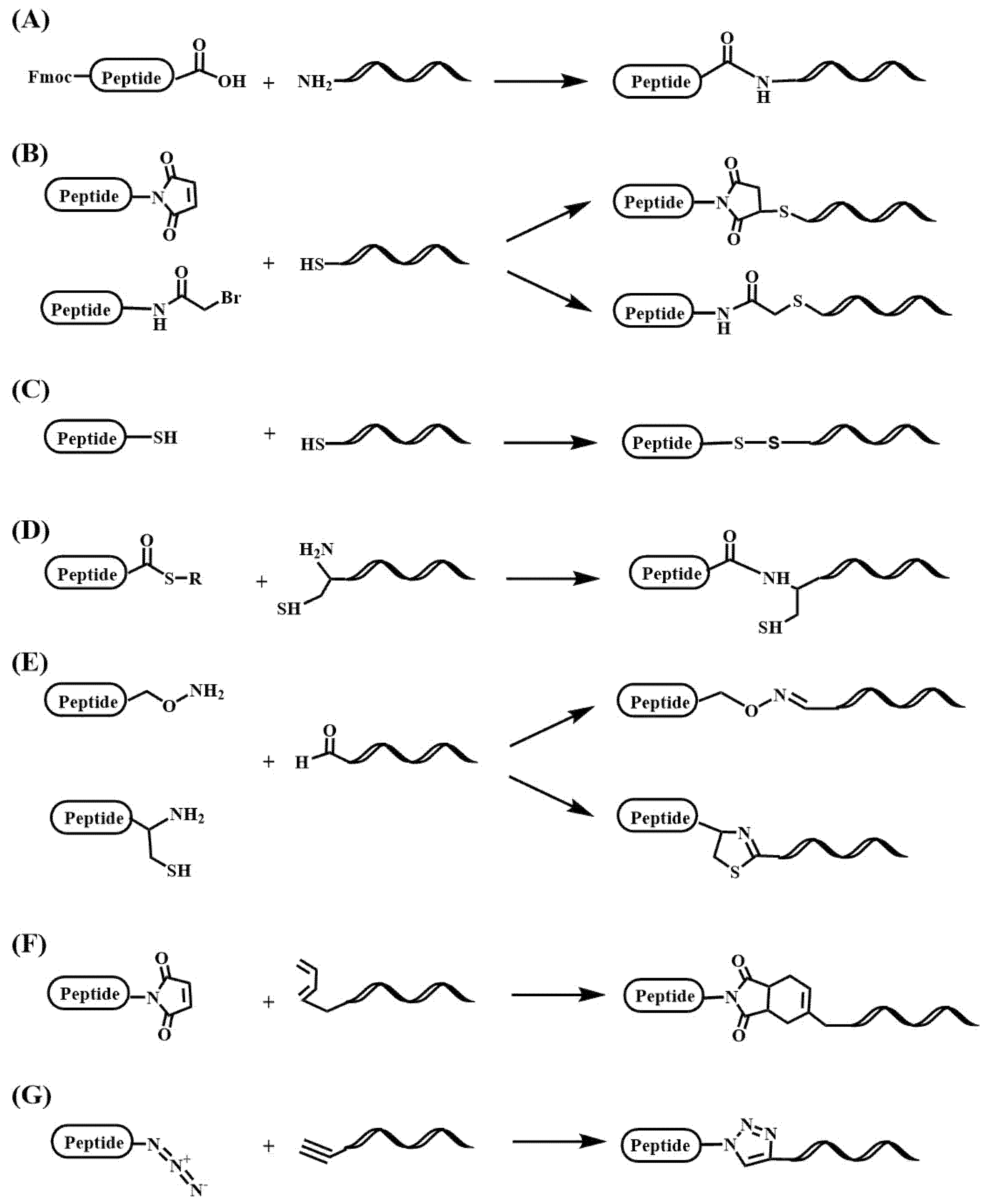 Pharmaceutics 15 00320 g005