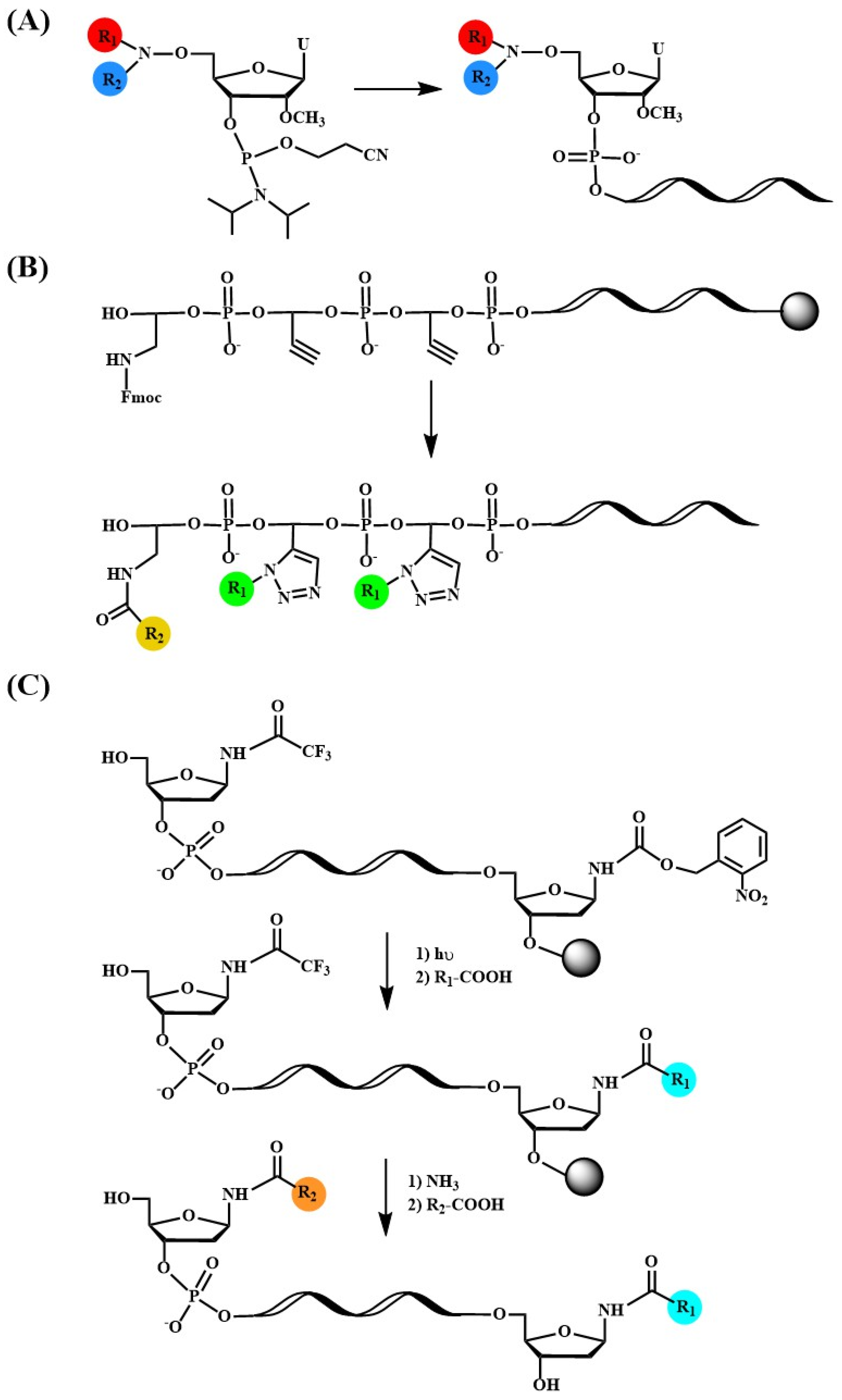 Pharmaceutics 15 00320 g007