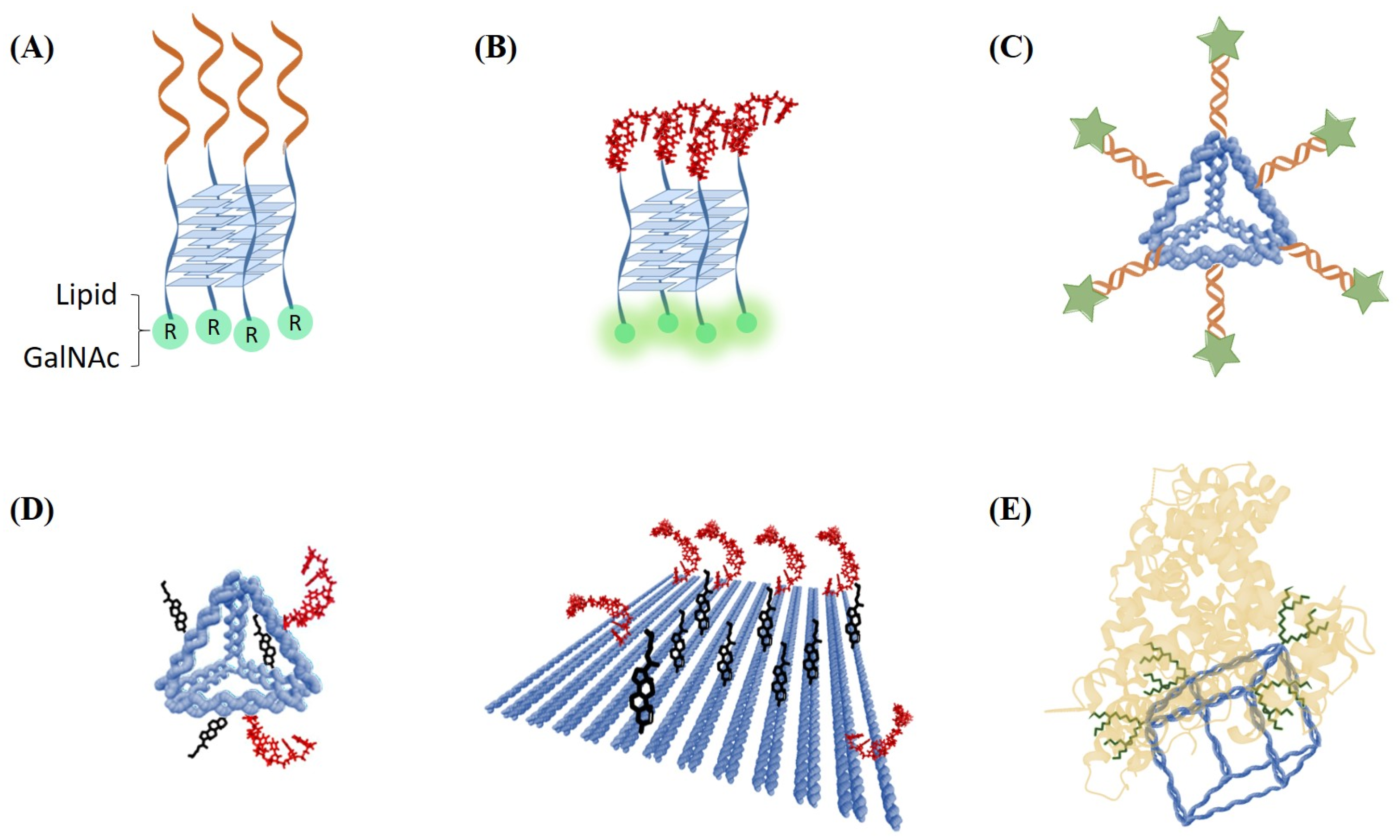 Pharmaceutics 15 00320 g008
