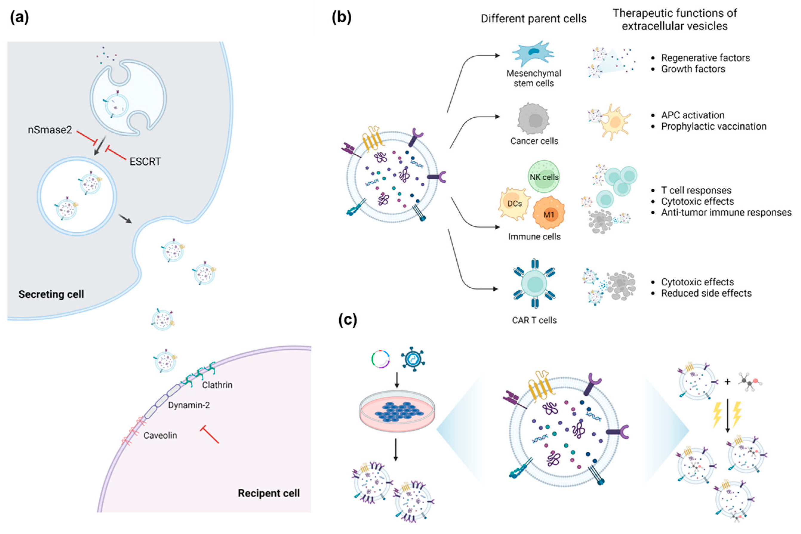 Pharmaceutics 15 00325 g001 Pharmaceutics 15 00325 g001