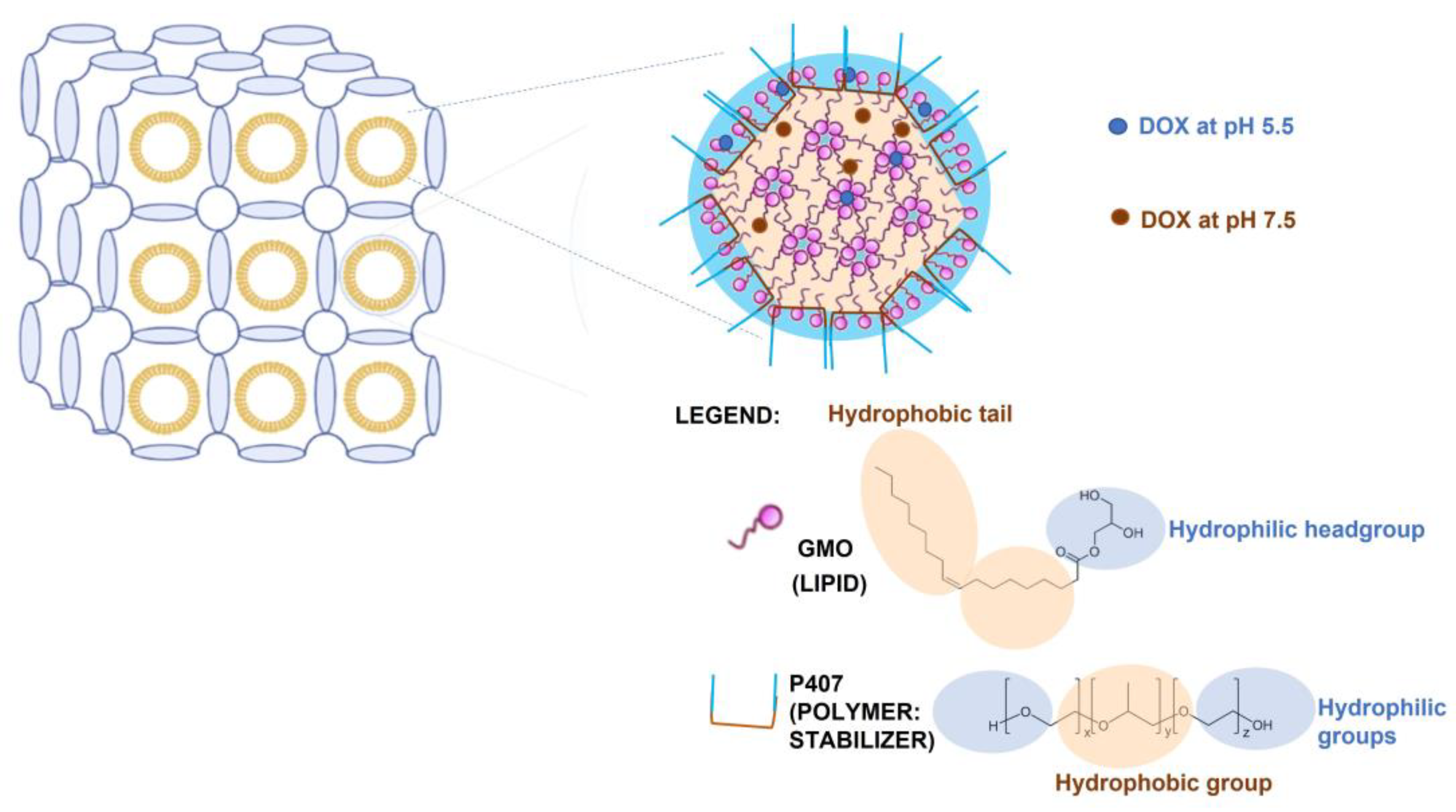 Pharmaceutics 15 00326 g001 Pharmaceutics 15 00326 g001