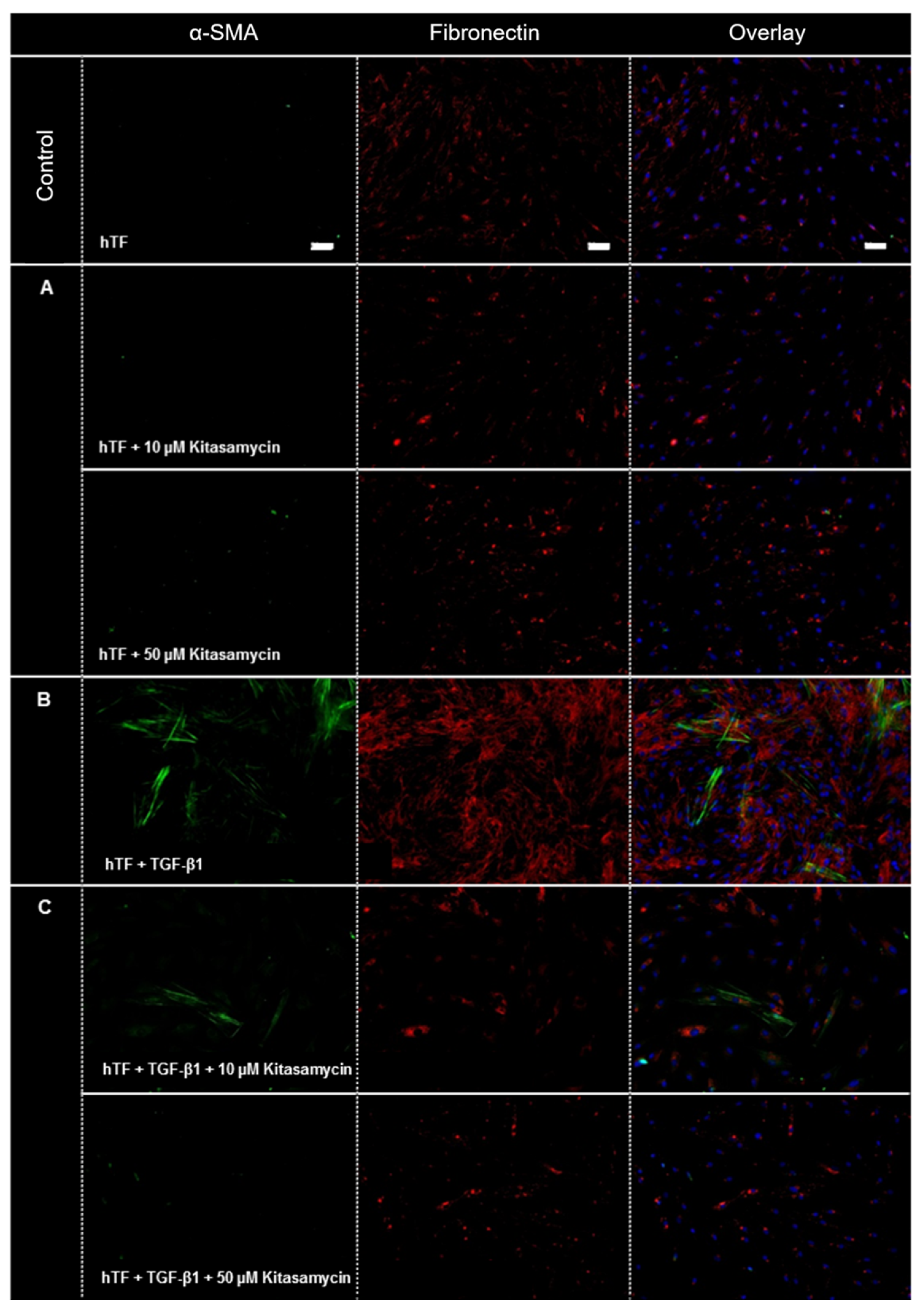 Pharmaceutics 15 00329 g002