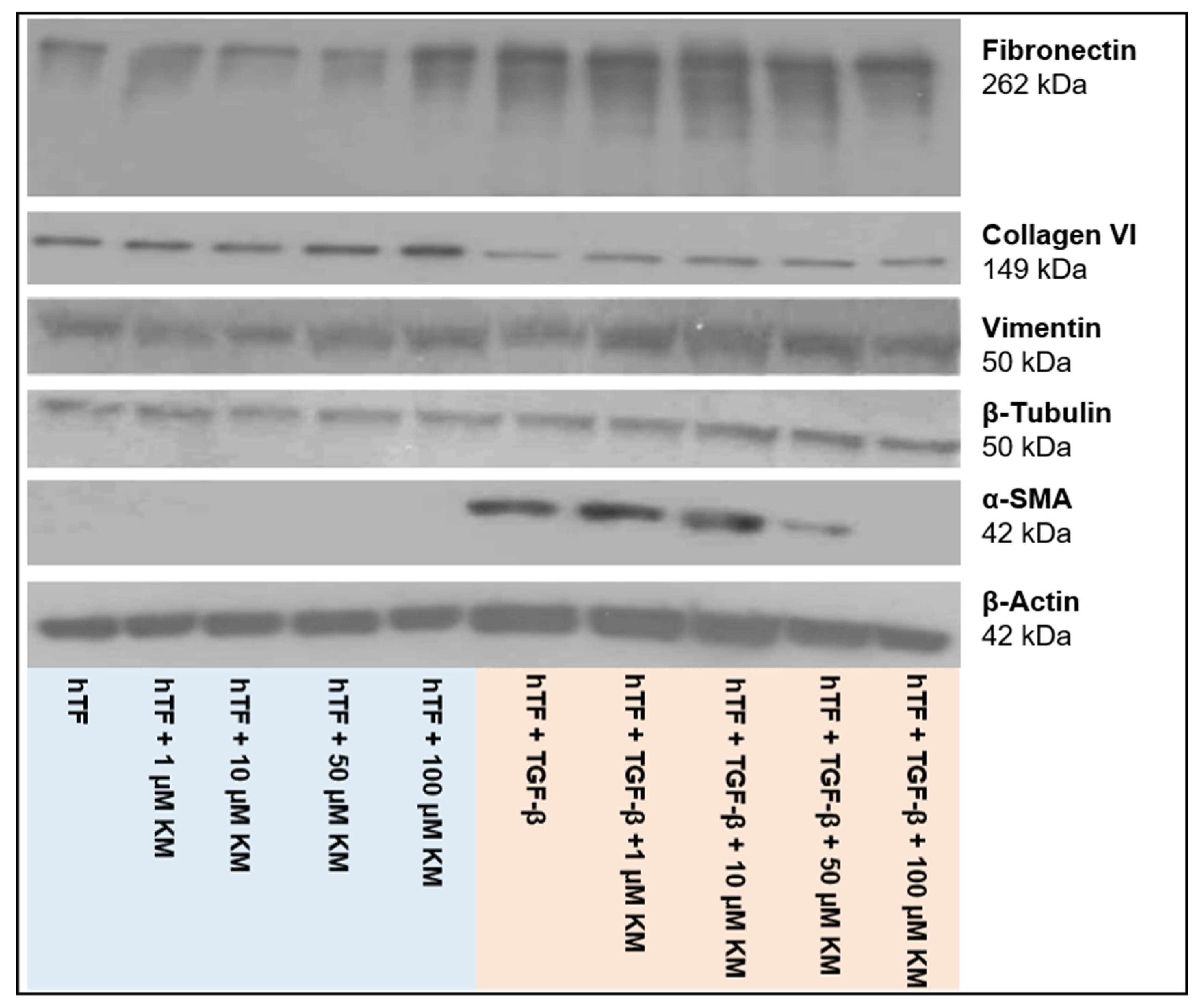 Pharmaceutics 15 00329 g003