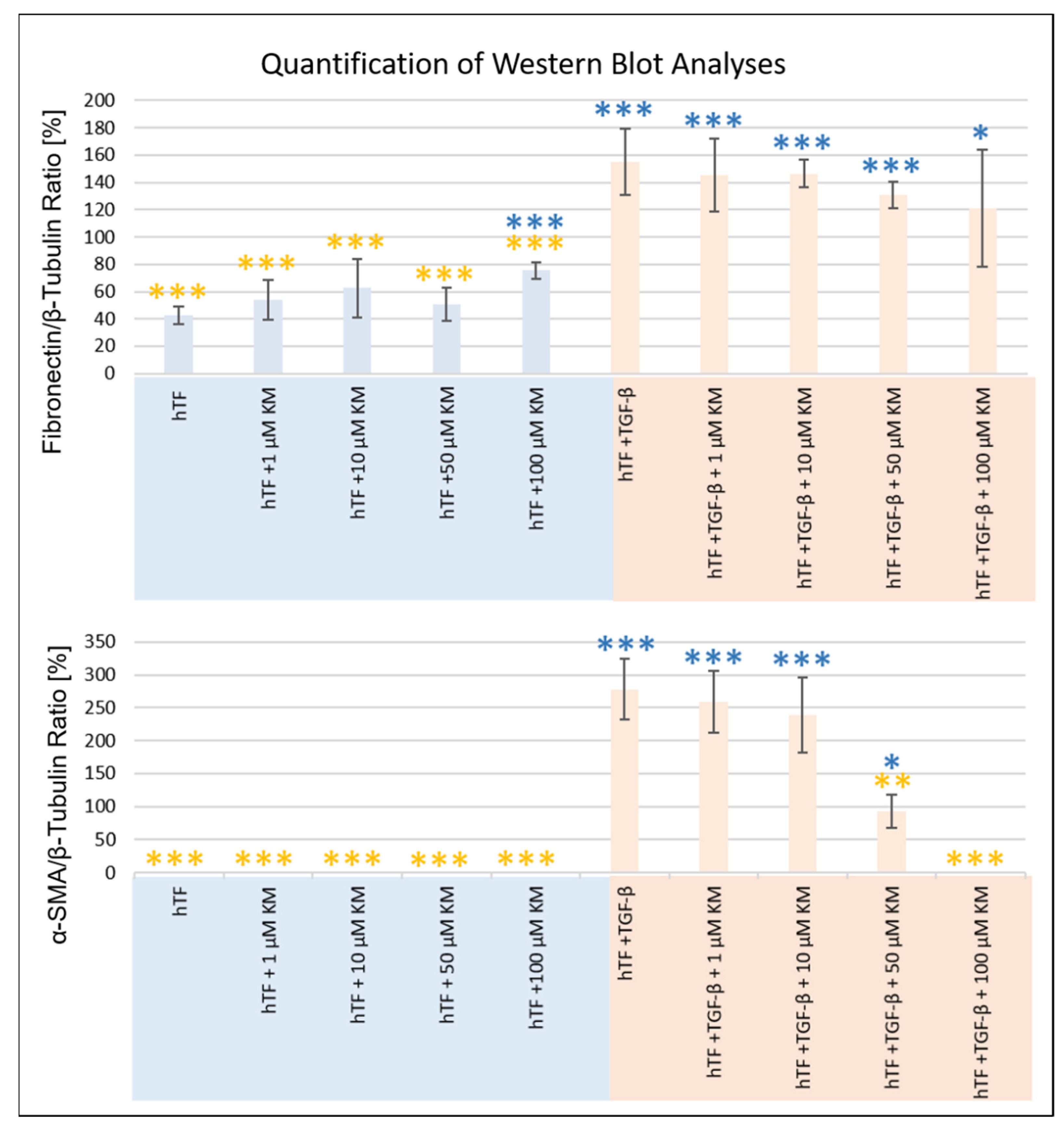 Pharmaceutics 15 00329 g004