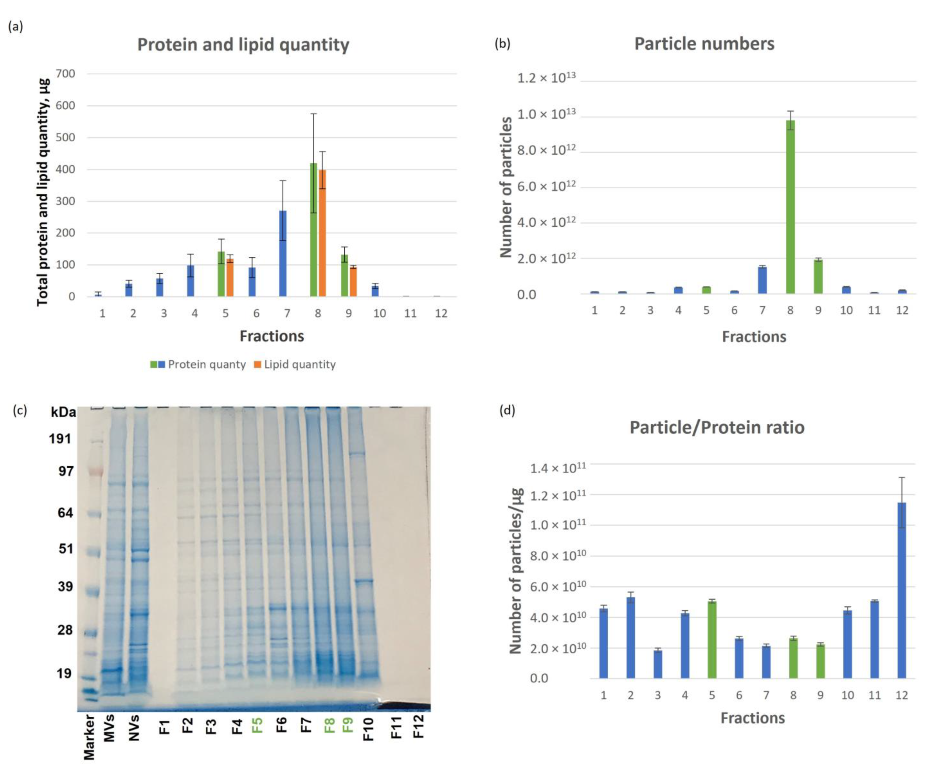 Pharmaceutics 15 00333 g002 Pharmaceutics 15 00333 g002