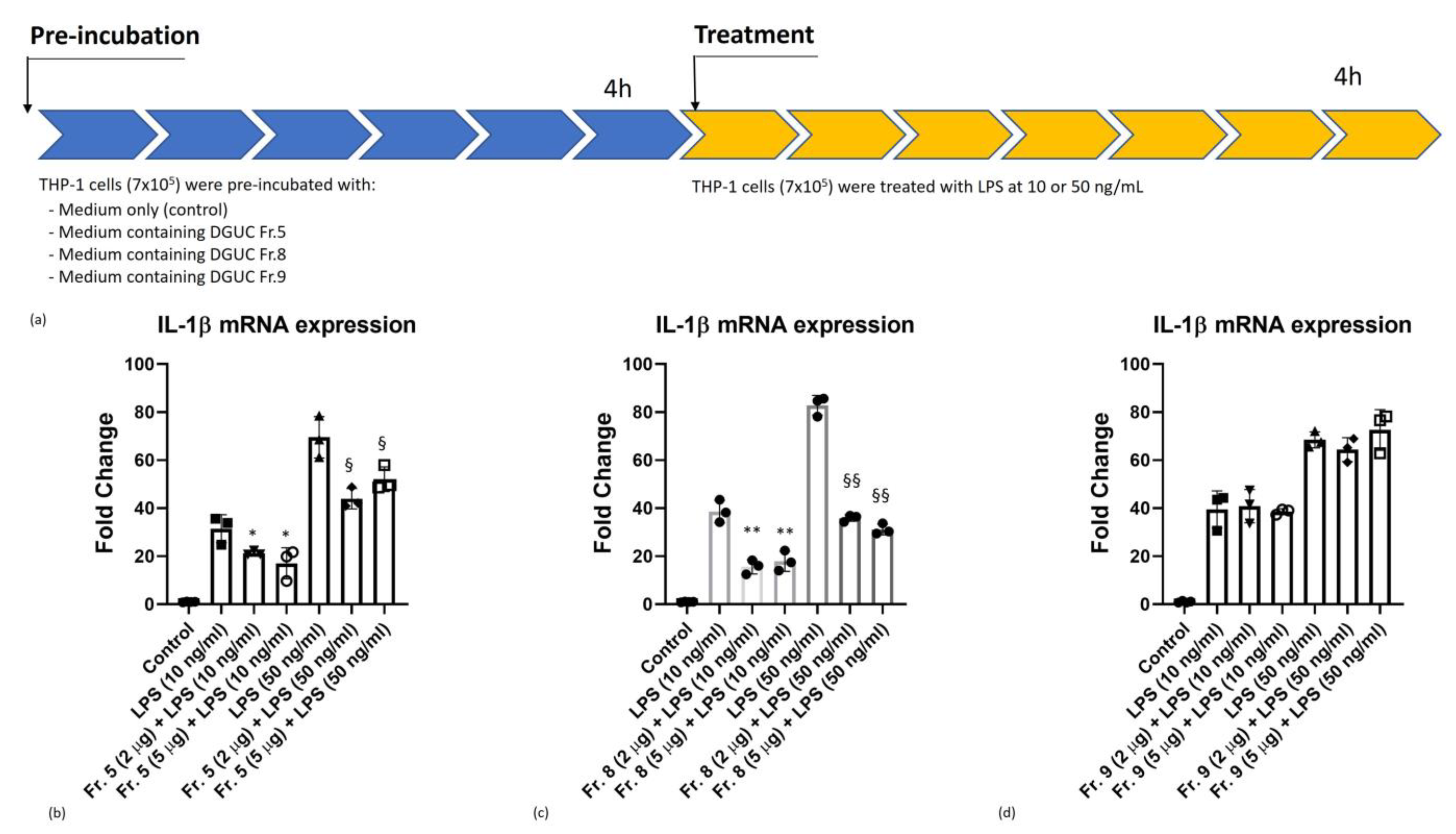 Pharmaceutics 15 00333 g006 Pharmaceutics 15 00333 g006