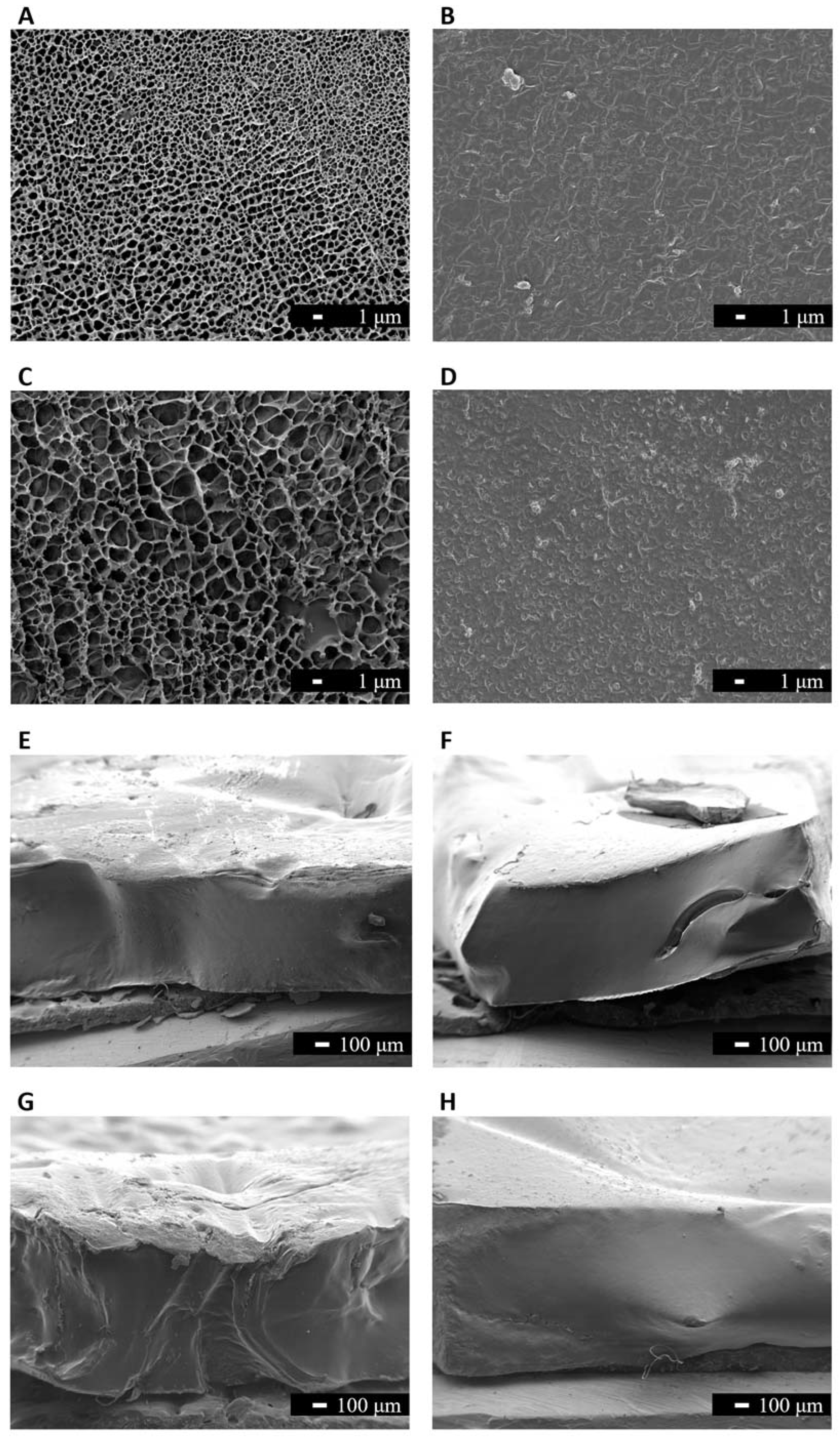 Pharmaceutics 15 00334 g004 Pharmaceutics 15 00334 g004