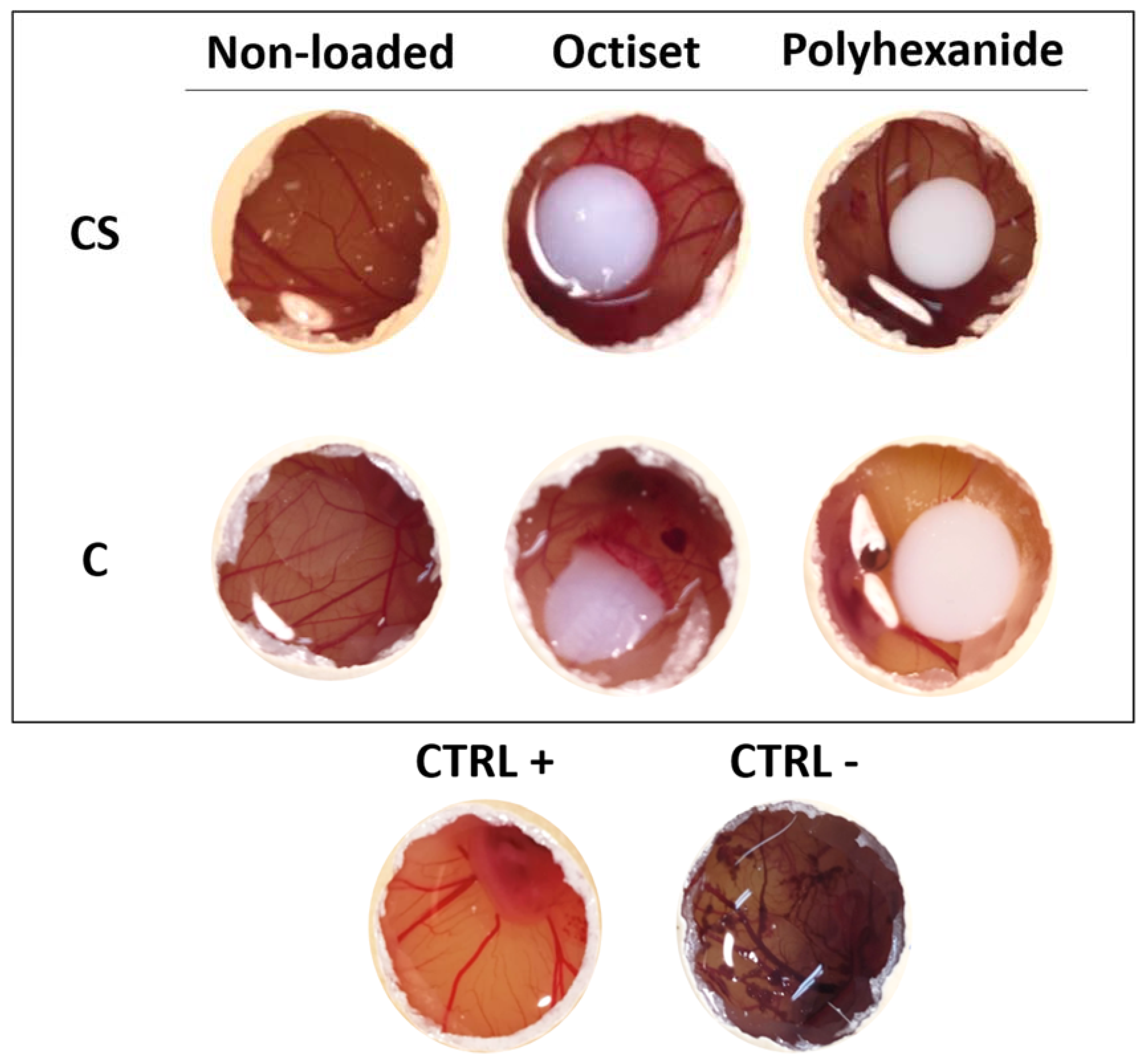 Pharmaceutics 15 00334 g008 Pharmaceutics 15 00334 g008