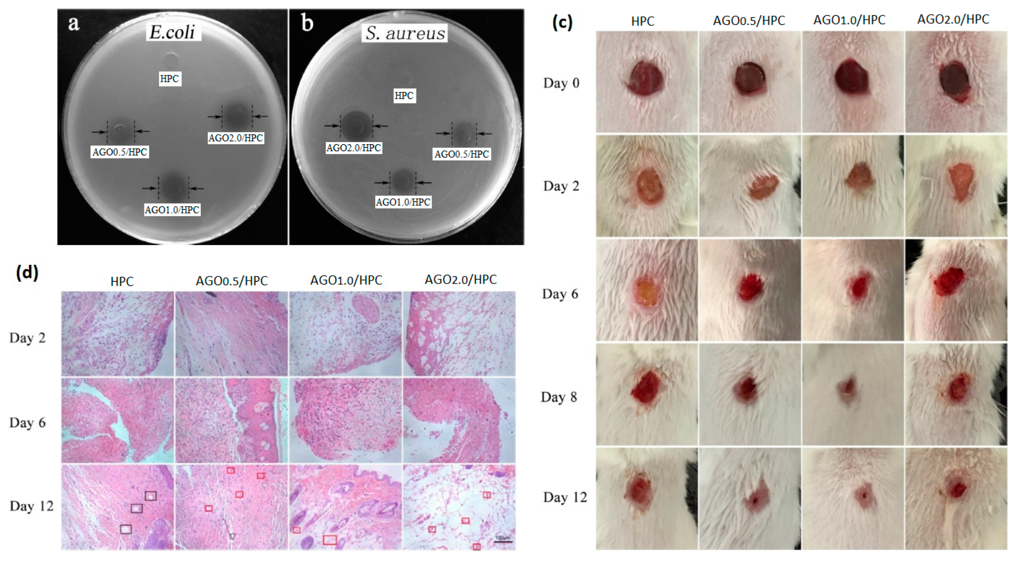 Pharmaceutics 15 00338 g007