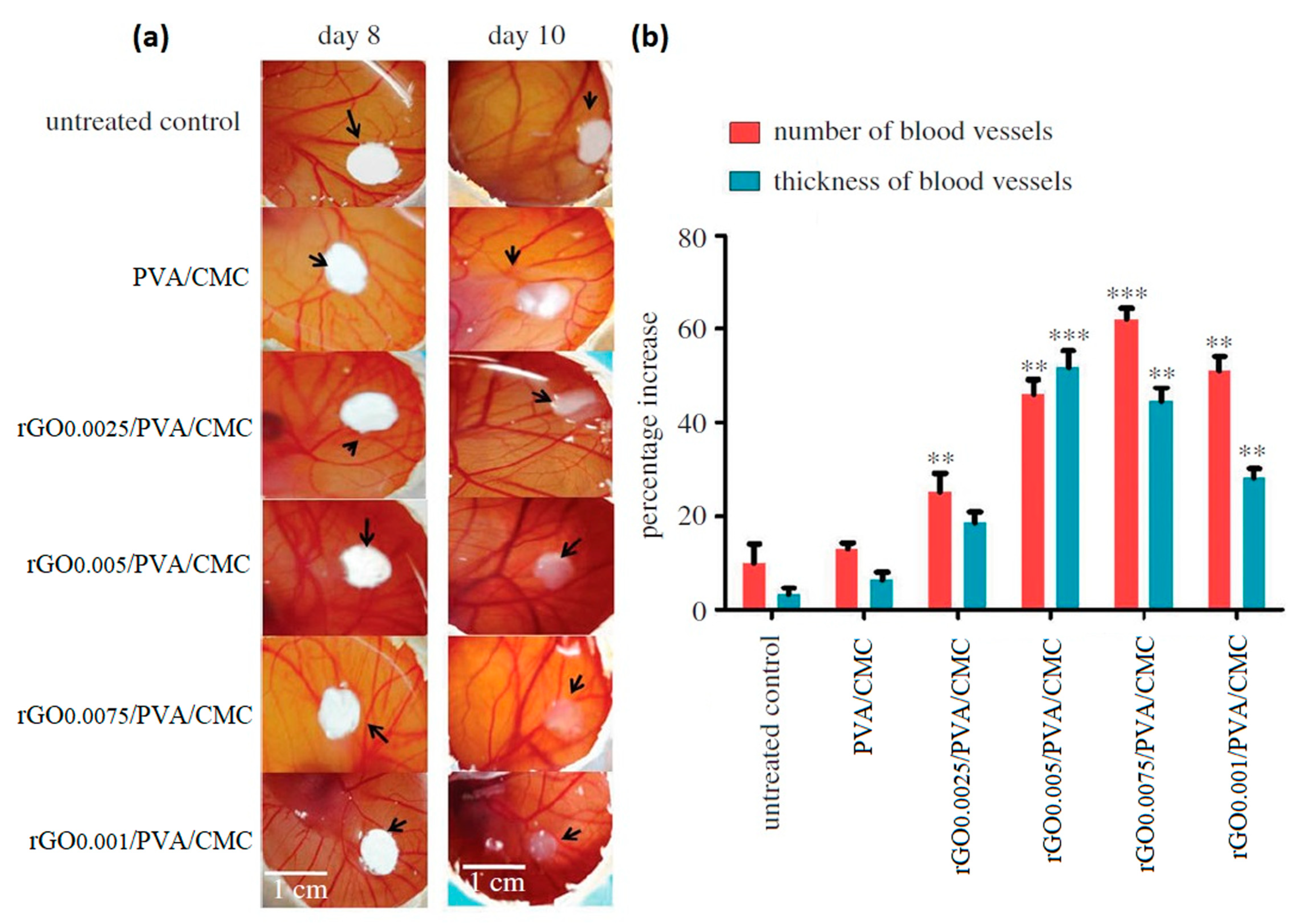 Pharmaceutics 15 00338 g008