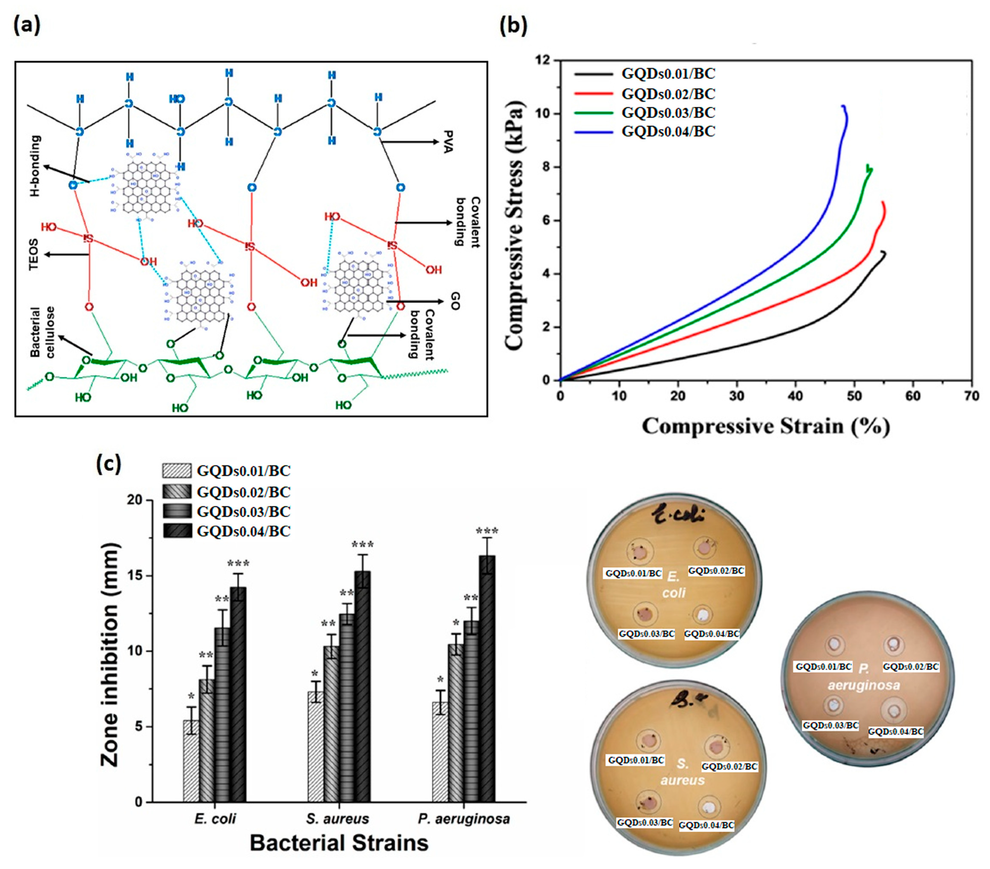 Pharmaceutics 15 00338 g009