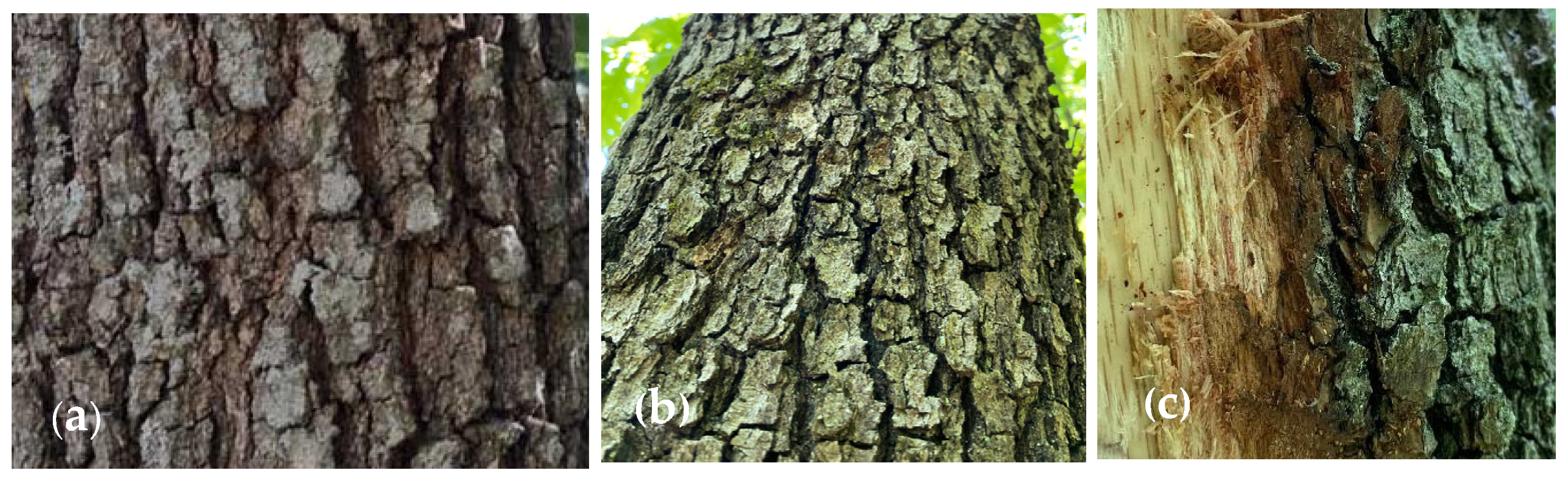 Pharmaceutics 15 00343 g001 Pharmaceutics 15 00343 g001