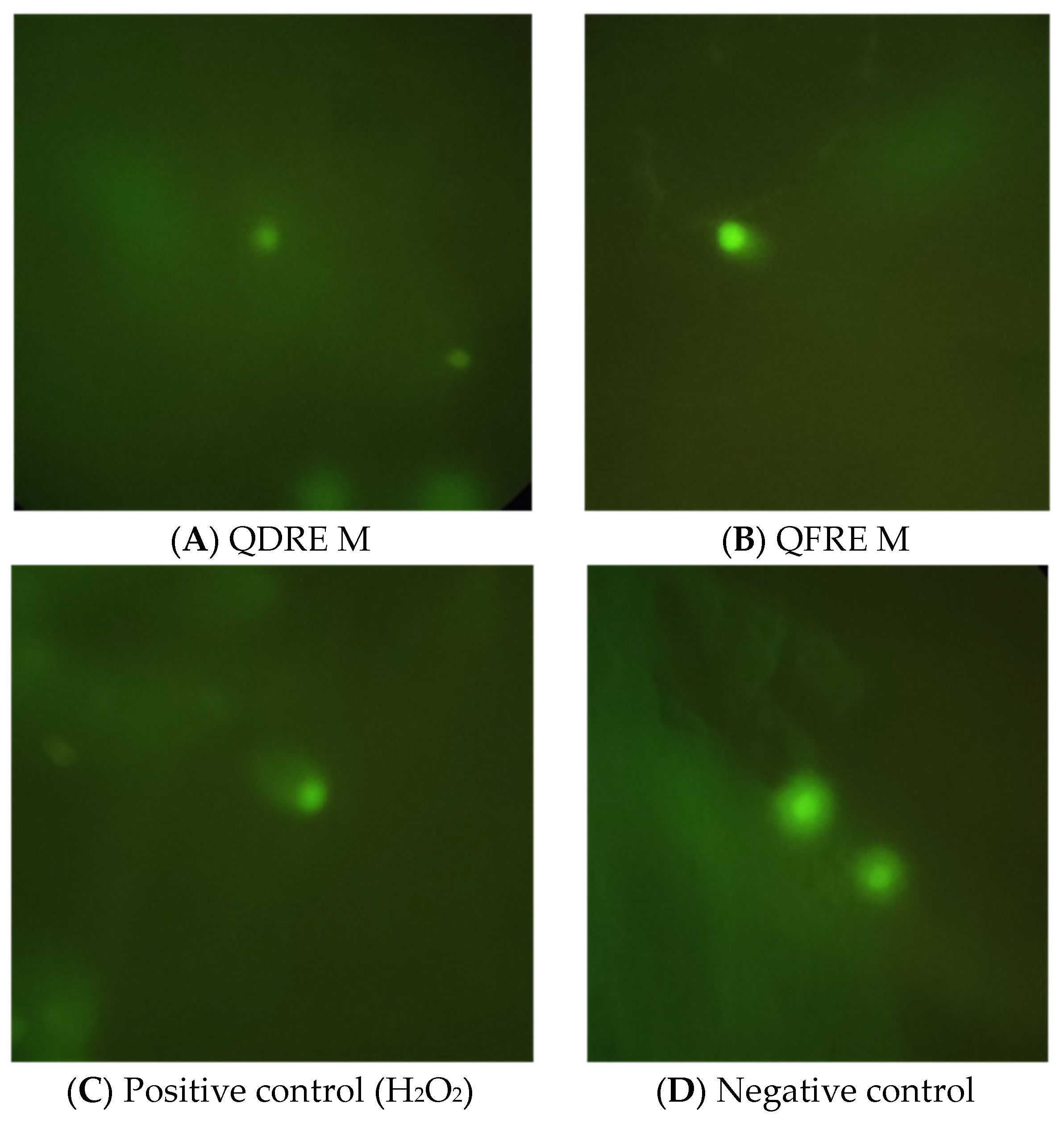 Pharmaceutics 15 00343 g006 Pharmaceutics 15 00343 g006