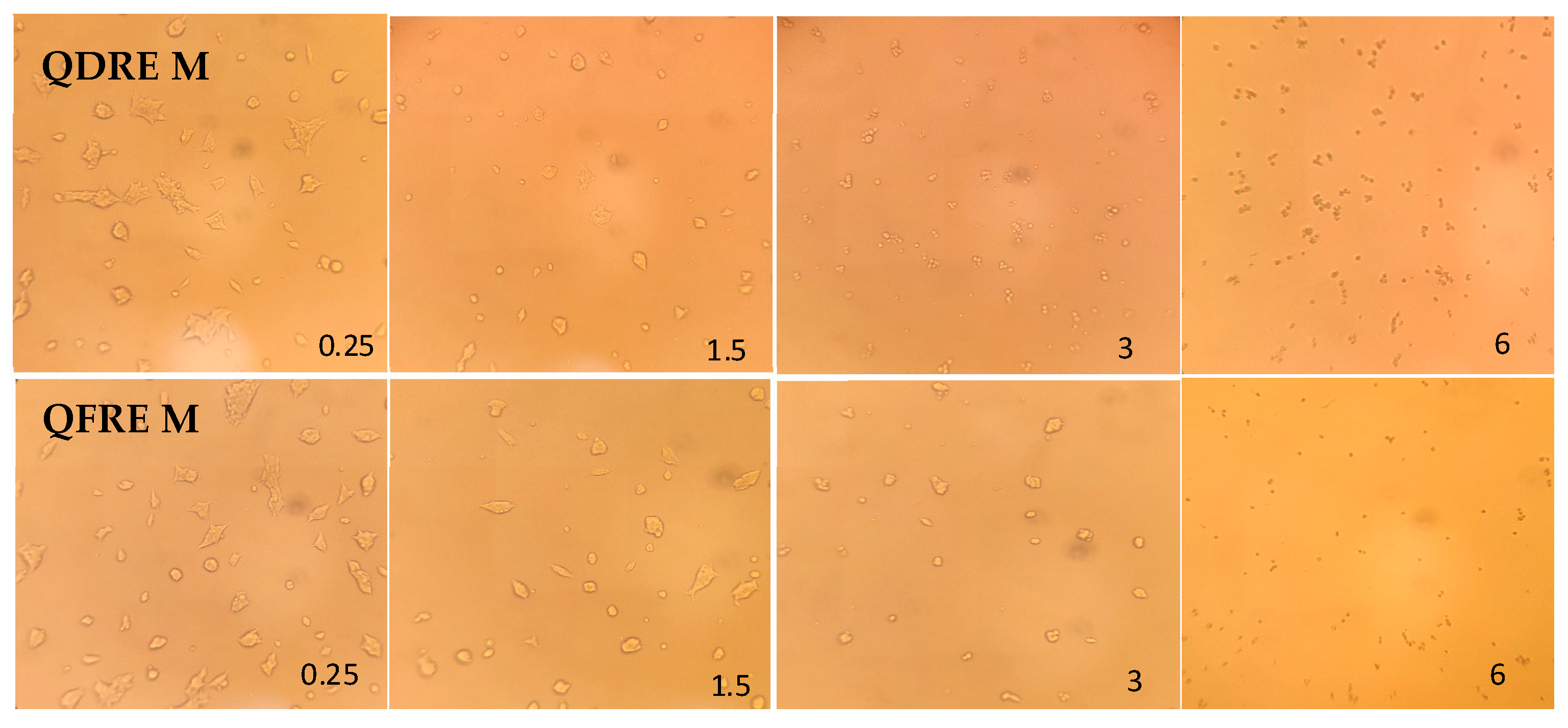 Pharmaceutics 15 00343 g007 Pharmaceutics 15 00343 g007