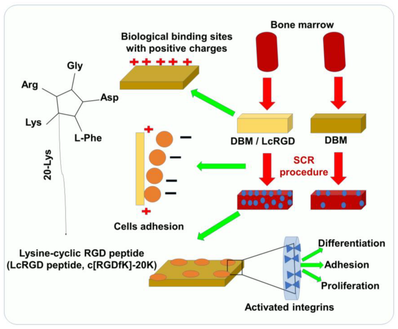Pharmaceutics 15 00345 g001 Pharmaceutics 15 00345 g001