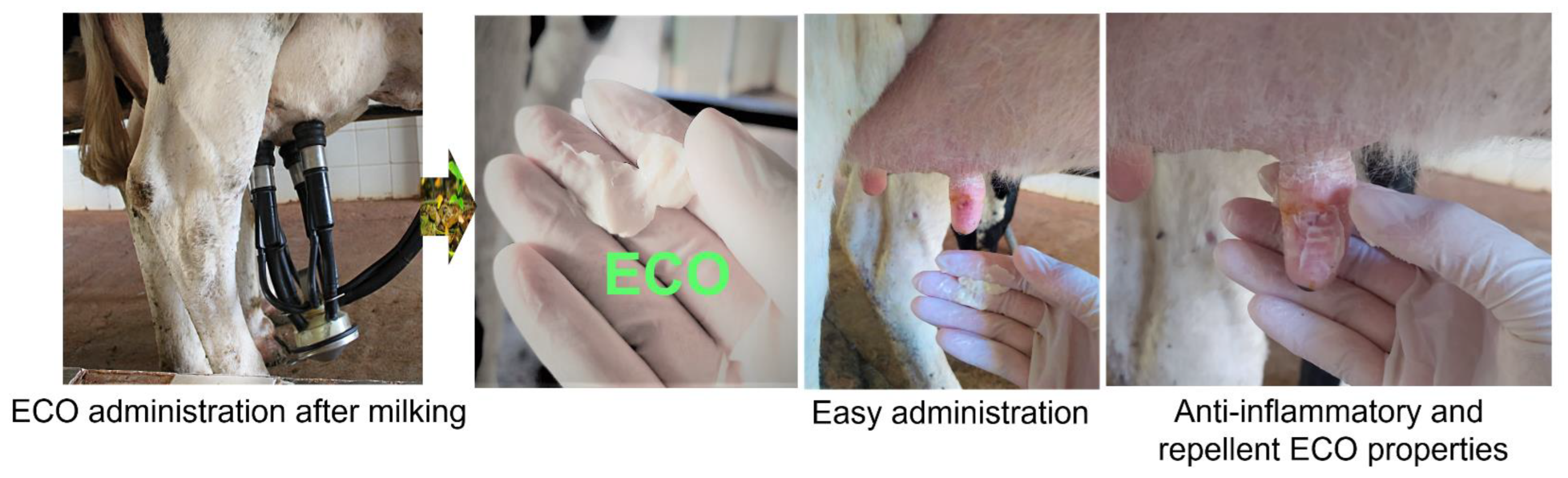 Pharmaceutics 15 00346 g003 Pharmaceutics 15 00346 g003