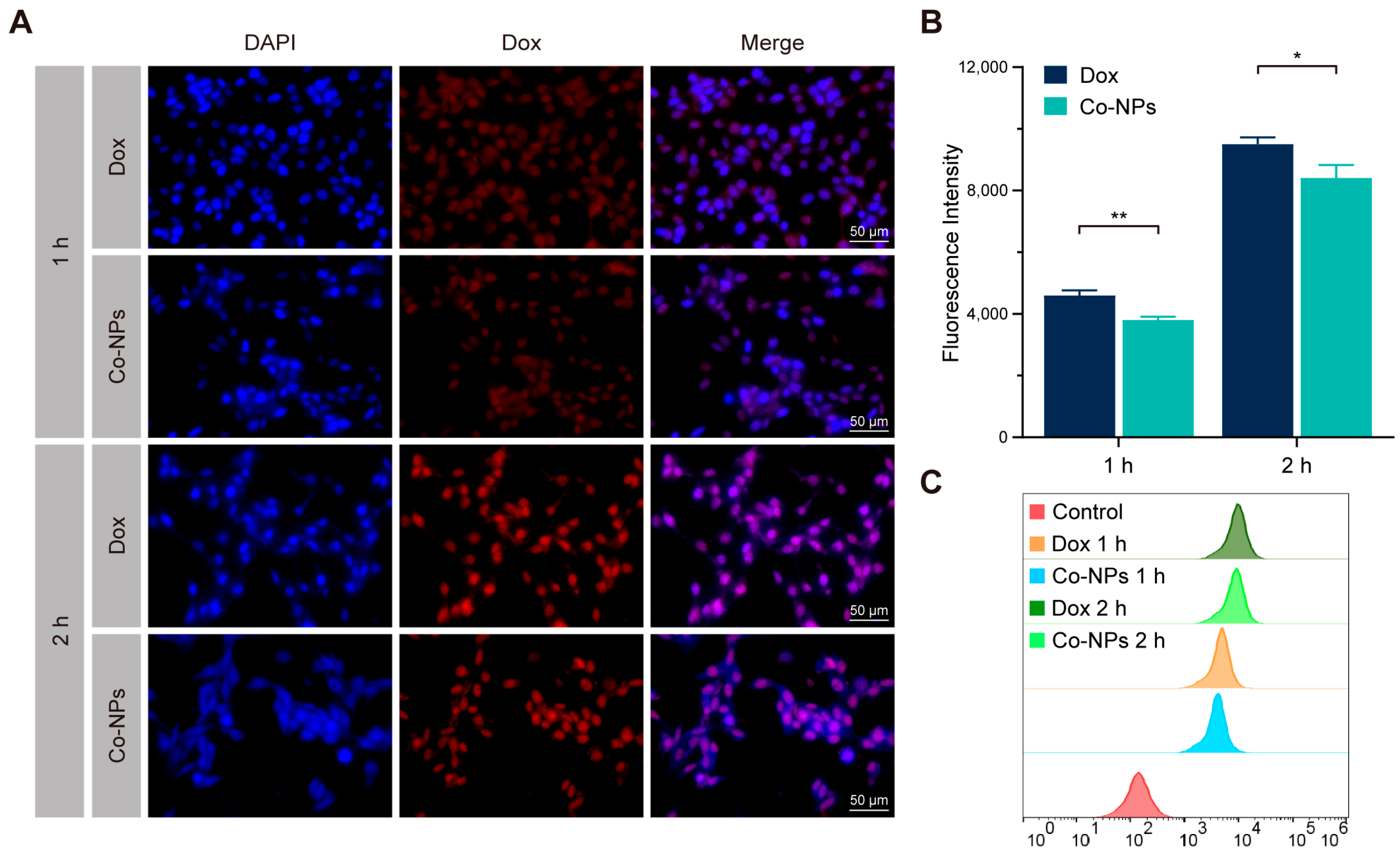 Pharmaceutics 15 00349 g002 Pharmaceutics 15 00349 g002