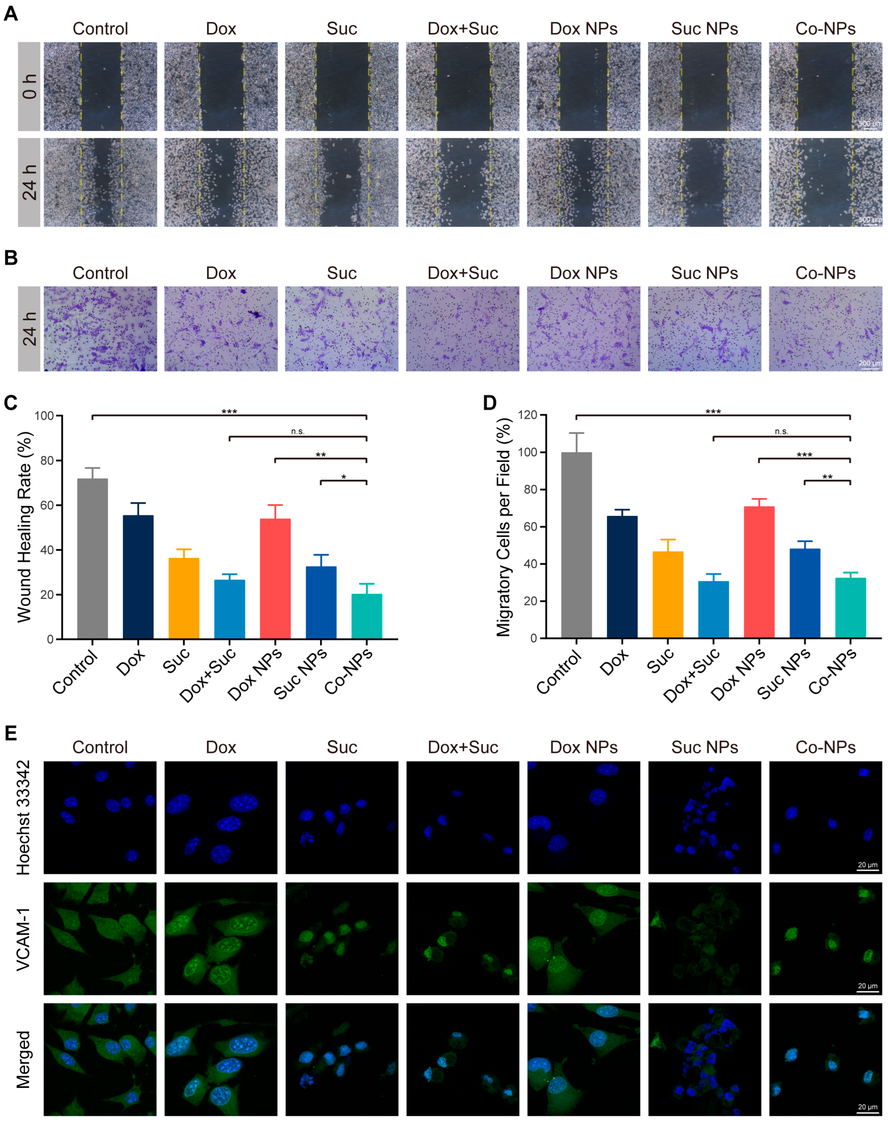 Pharmaceutics 15 00349 g004 Pharmaceutics 15 00349 g004