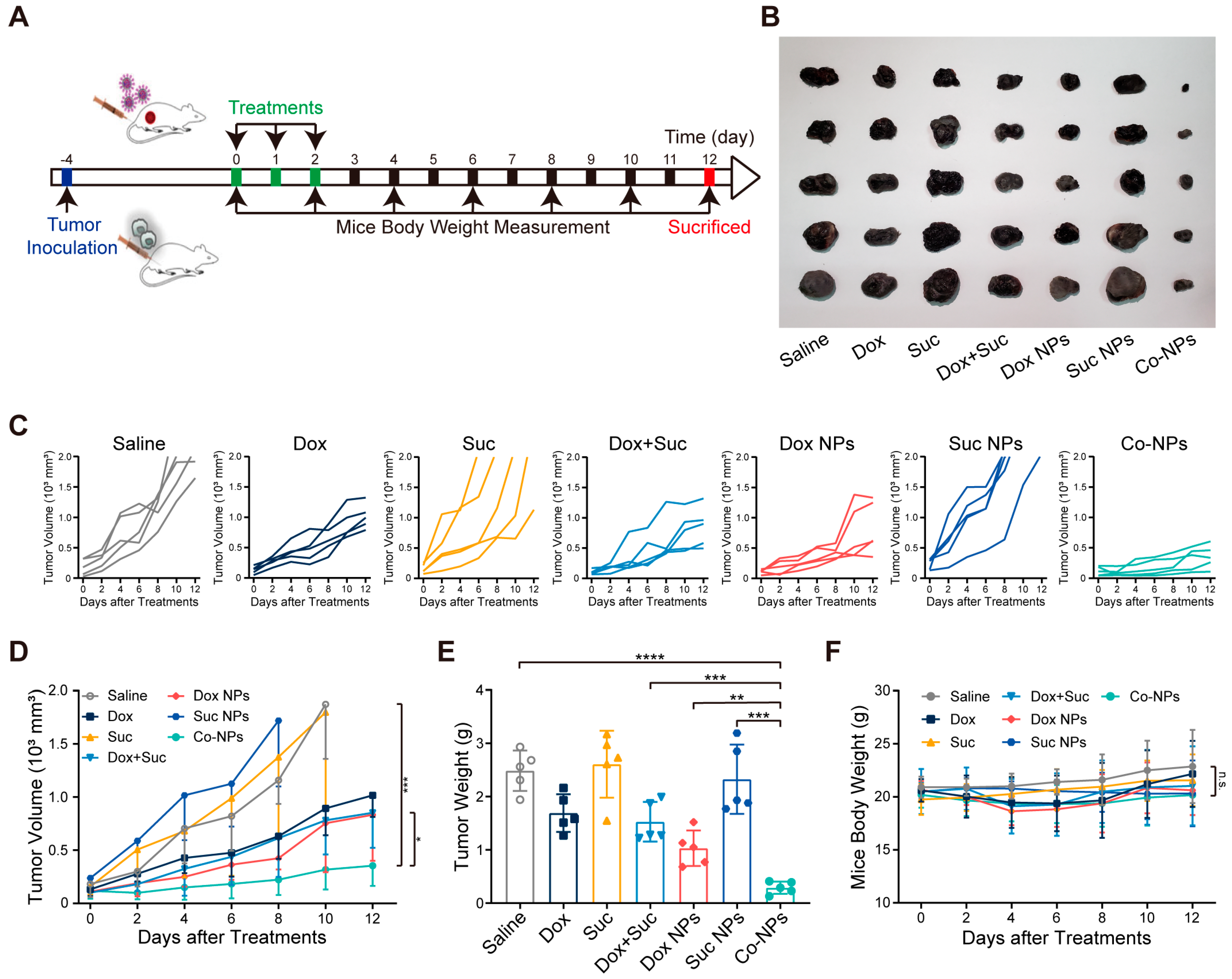 Pharmaceutics 15 00349 g005 Pharmaceutics 15 00349 g005