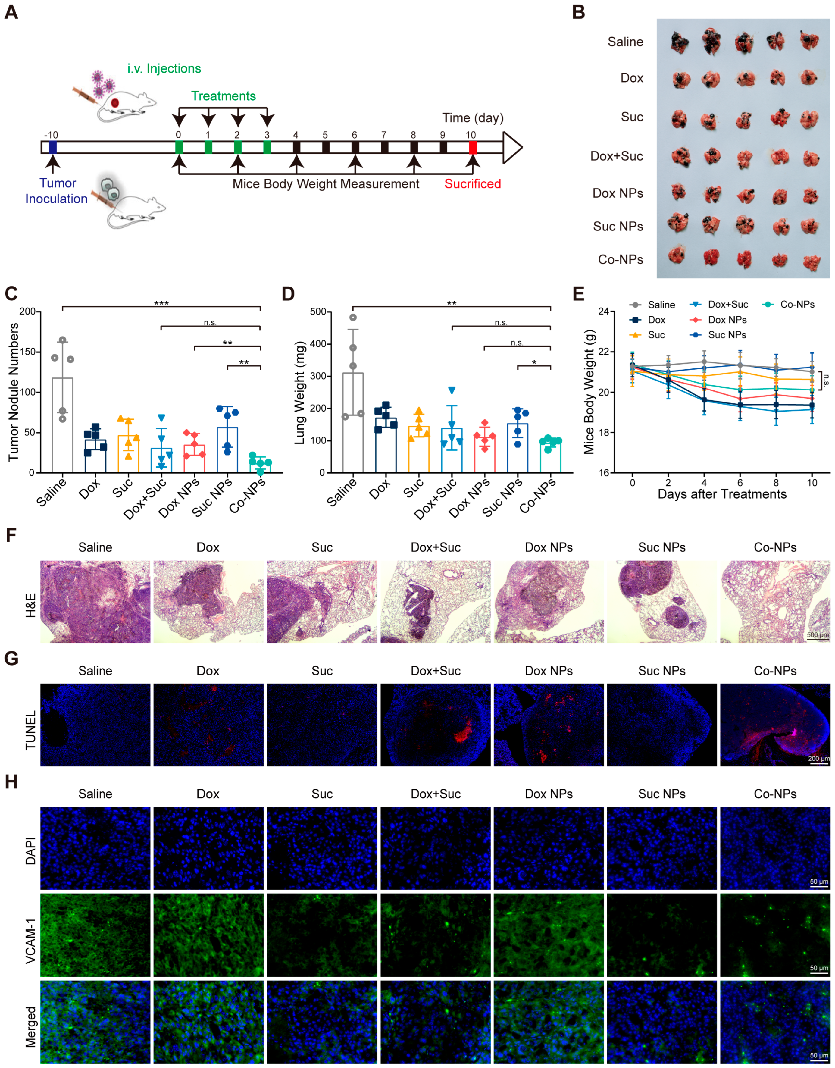 Pharmaceutics 15 00349 g007 Pharmaceutics 15 00349 g007