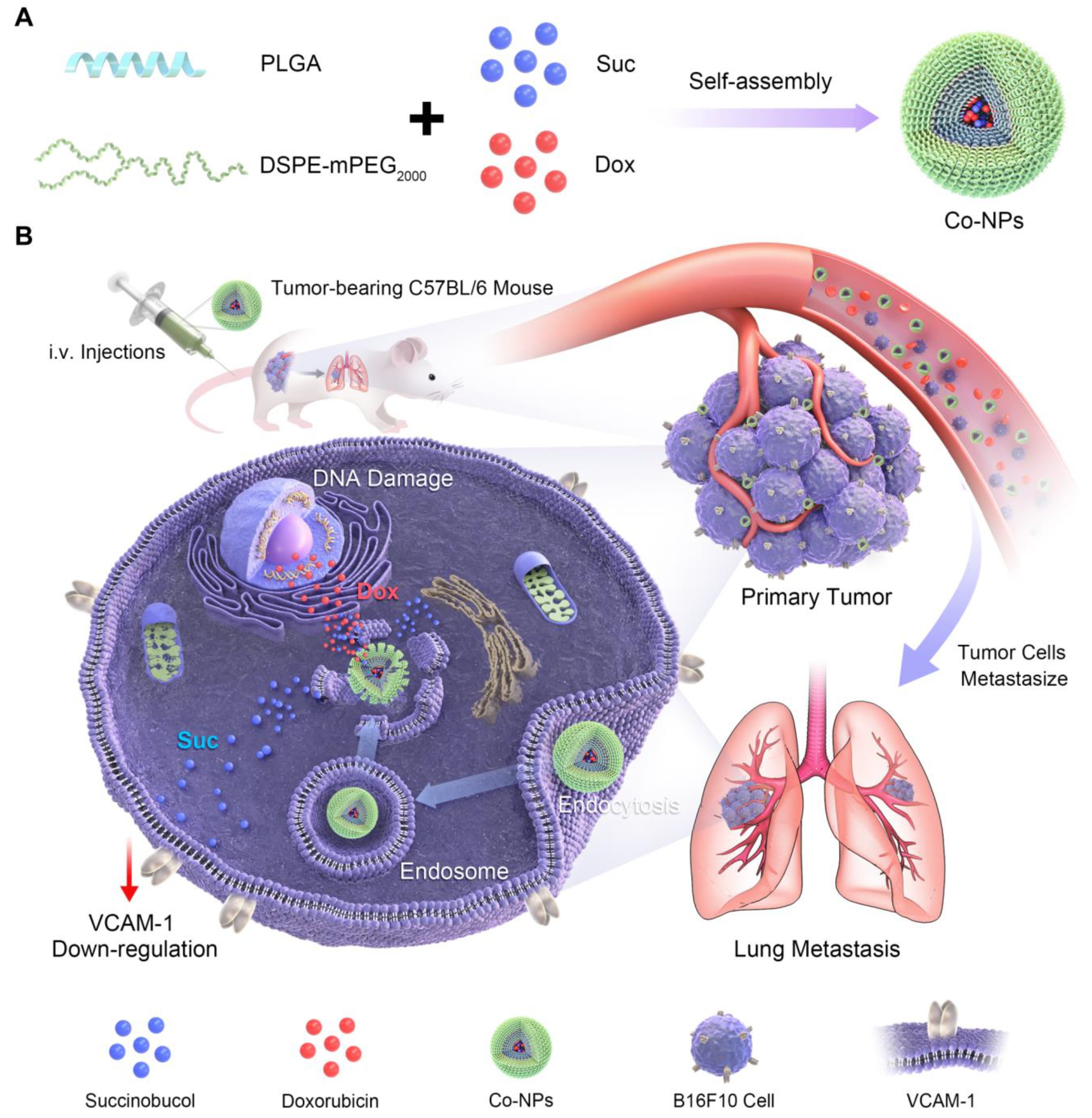 Pharmaceutics 15 00349 sch001 Pharmaceutics 15 00349 sch001