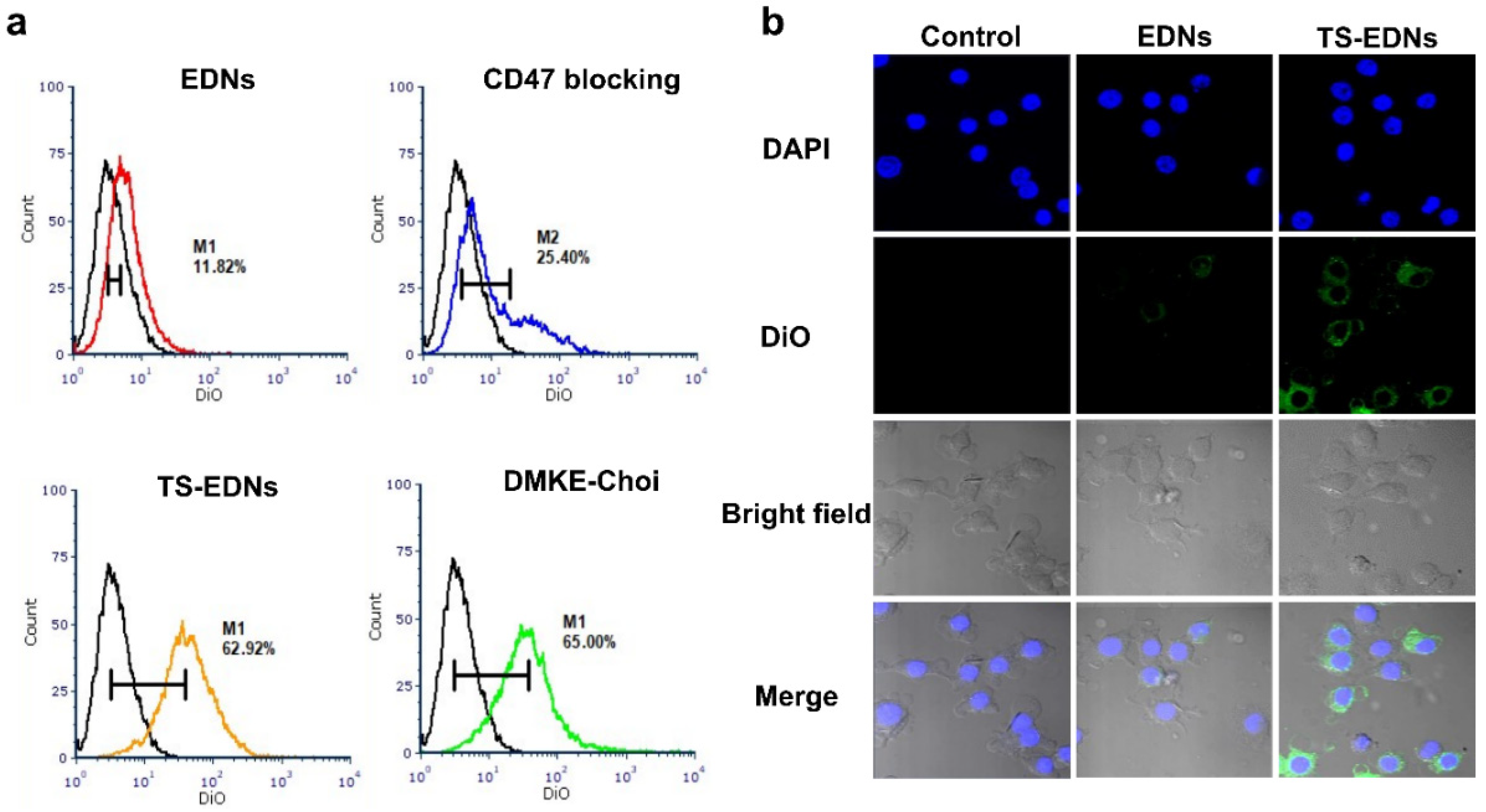 Pharmaceutics 15 00350 g003 Pharmaceutics 15 00350 g003