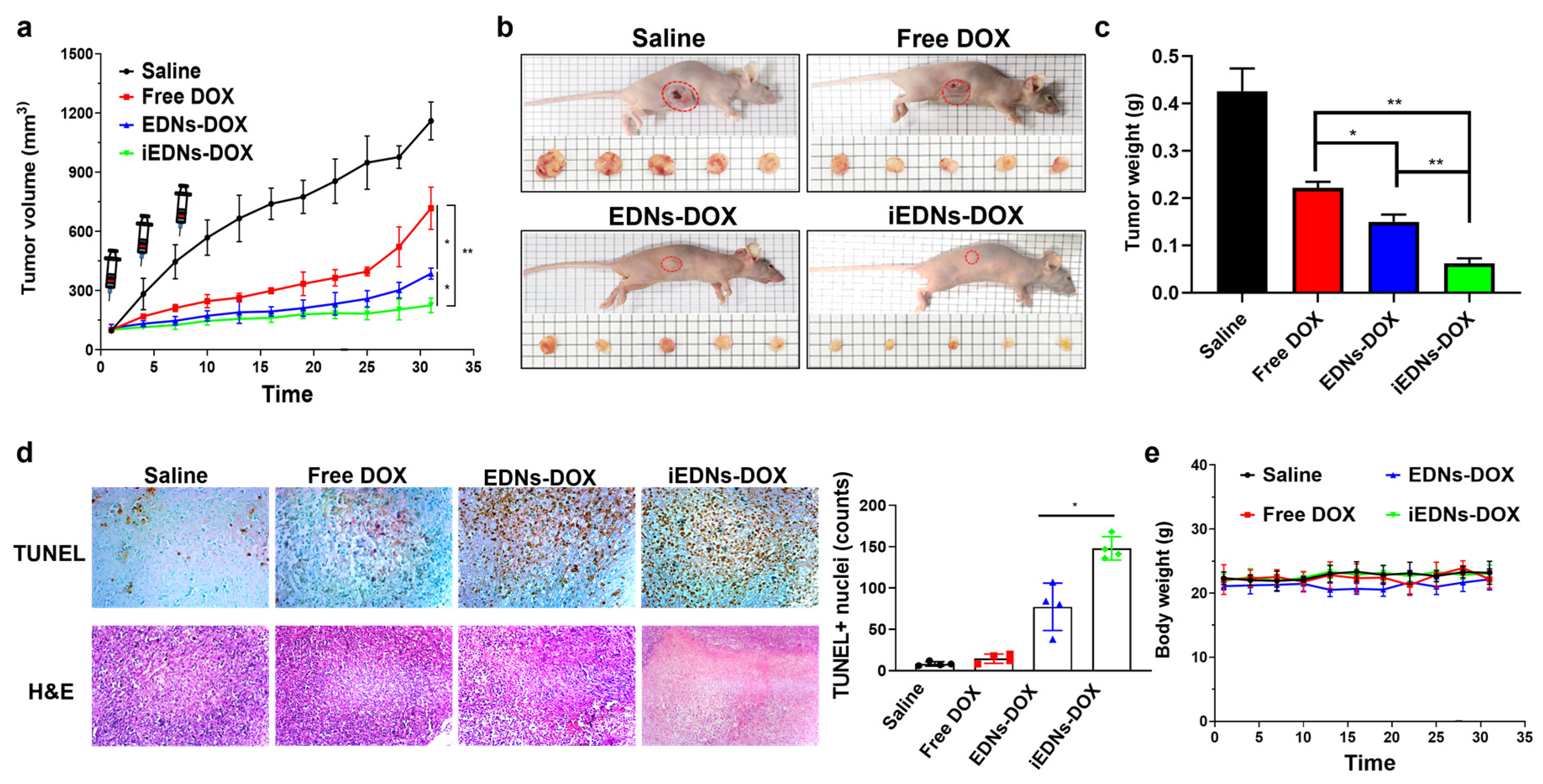 Pharmaceutics 15 00350 g006 Pharmaceutics 15 00350 g006