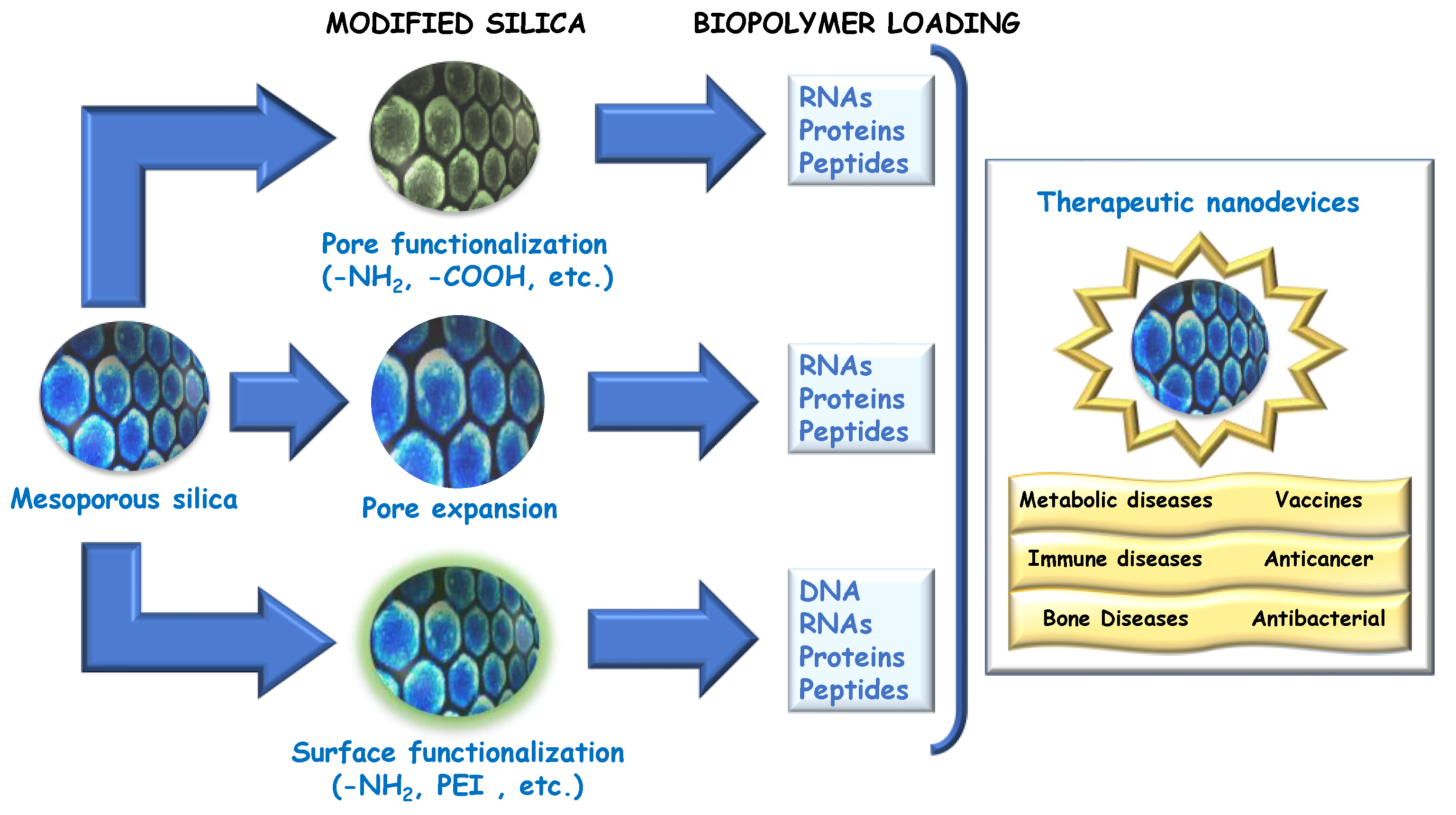 【おまけ付】 of Delivery Therapeutic Silica-Based Employing Biopolymers ボール