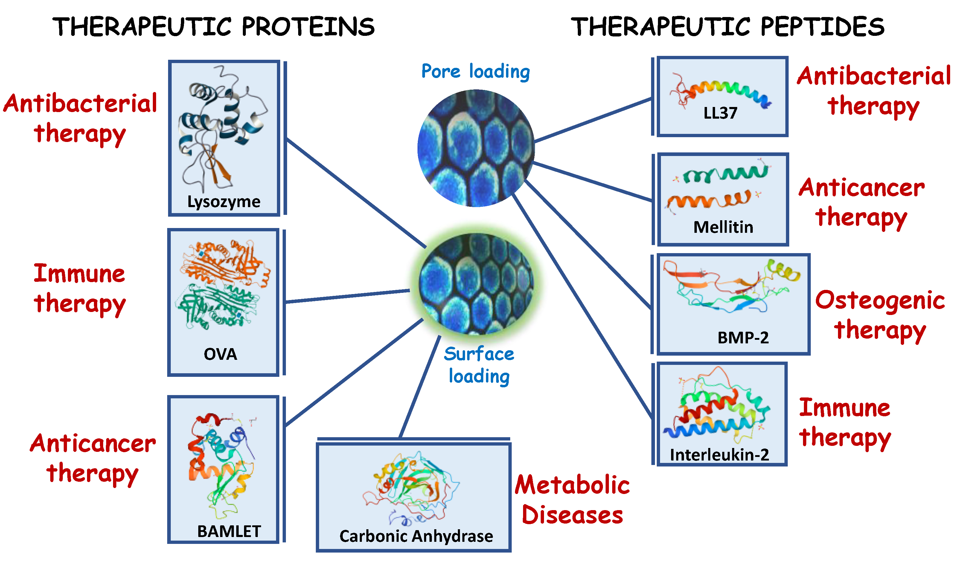 Delivery of Therapeutic Biopolymers Employing Silica-Based