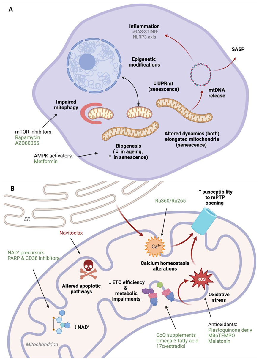 Pharmaceutics 15 00352 g002