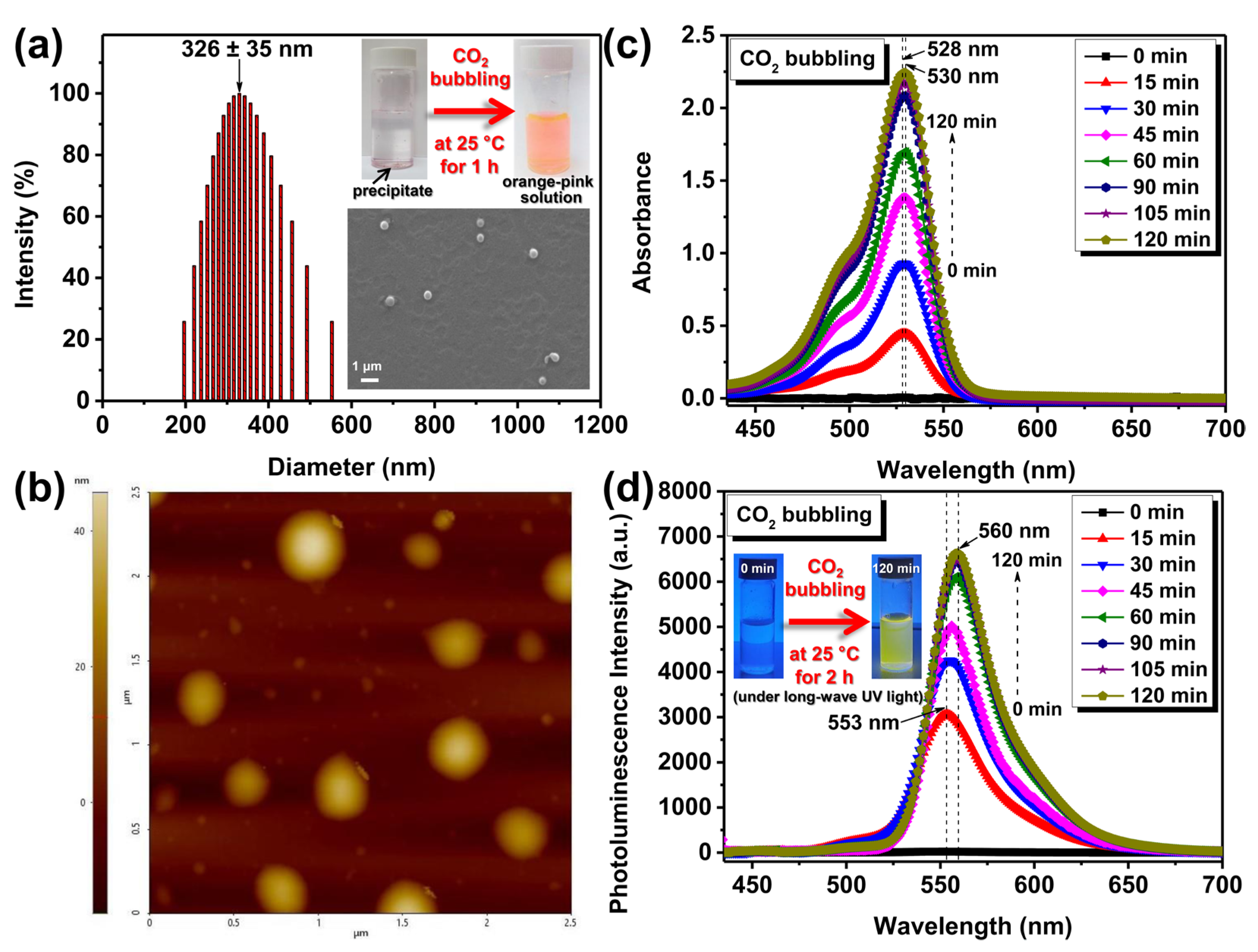 Pharmaceutics 15 00354 g002
