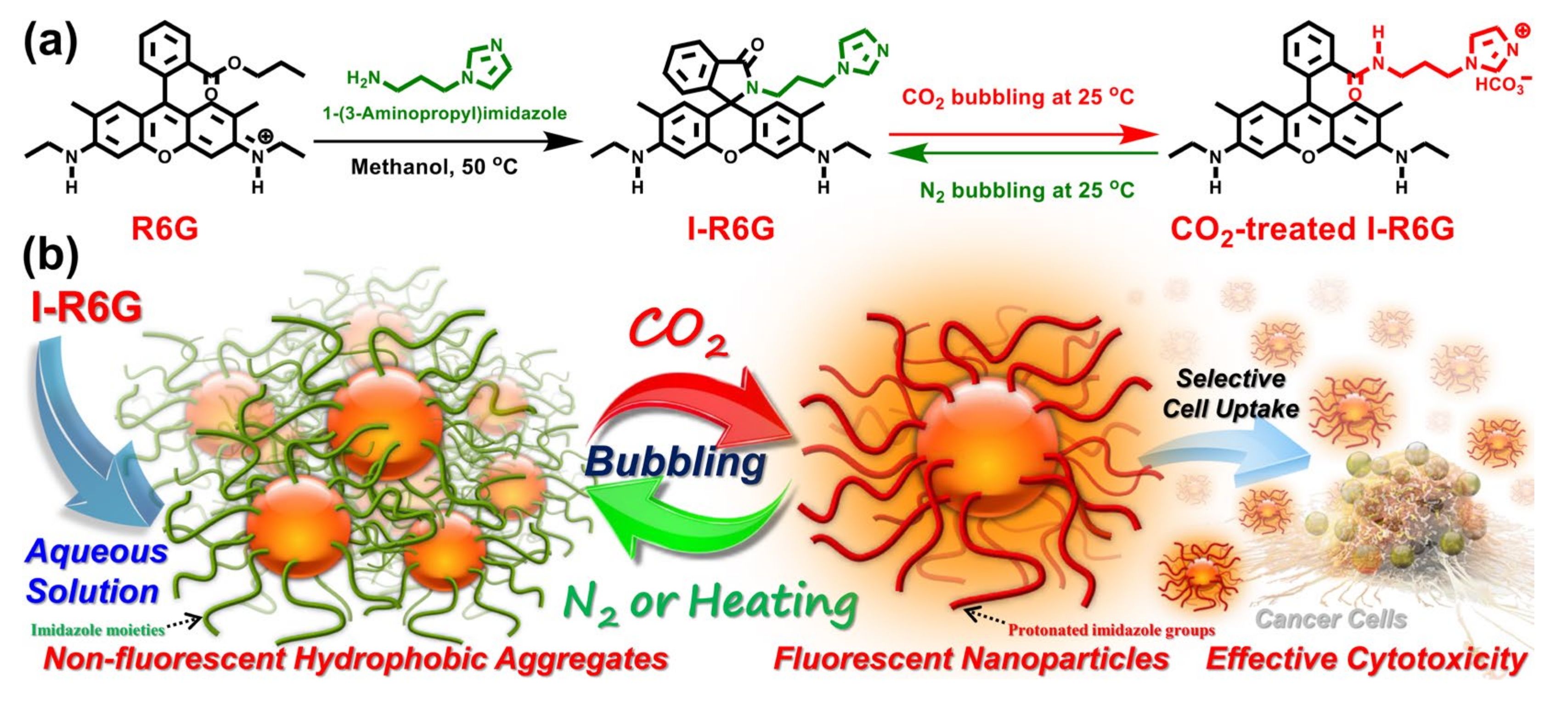 Pharmaceutics 15 00354 sch001