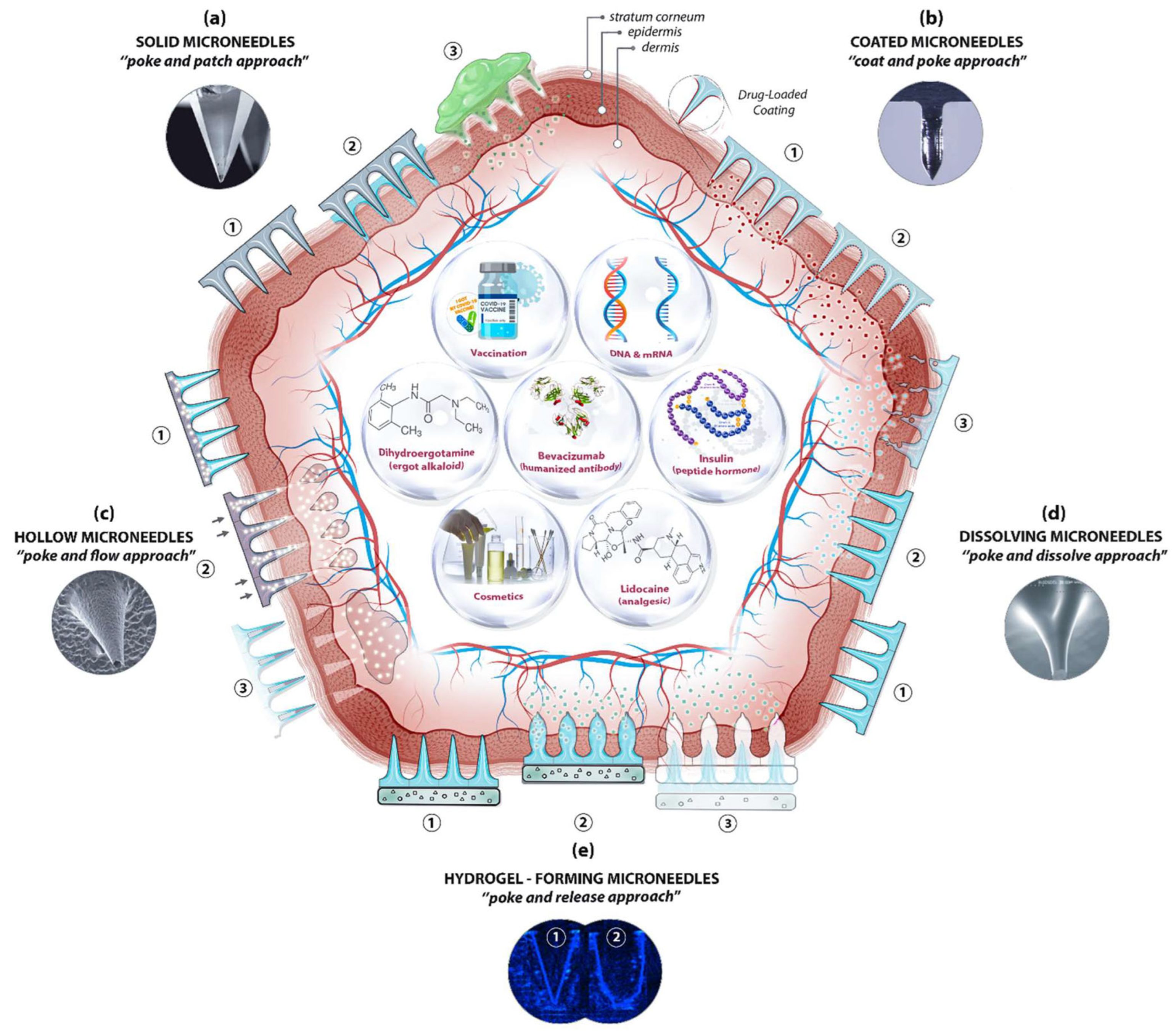 Pharmaceutics 15 00355 g002