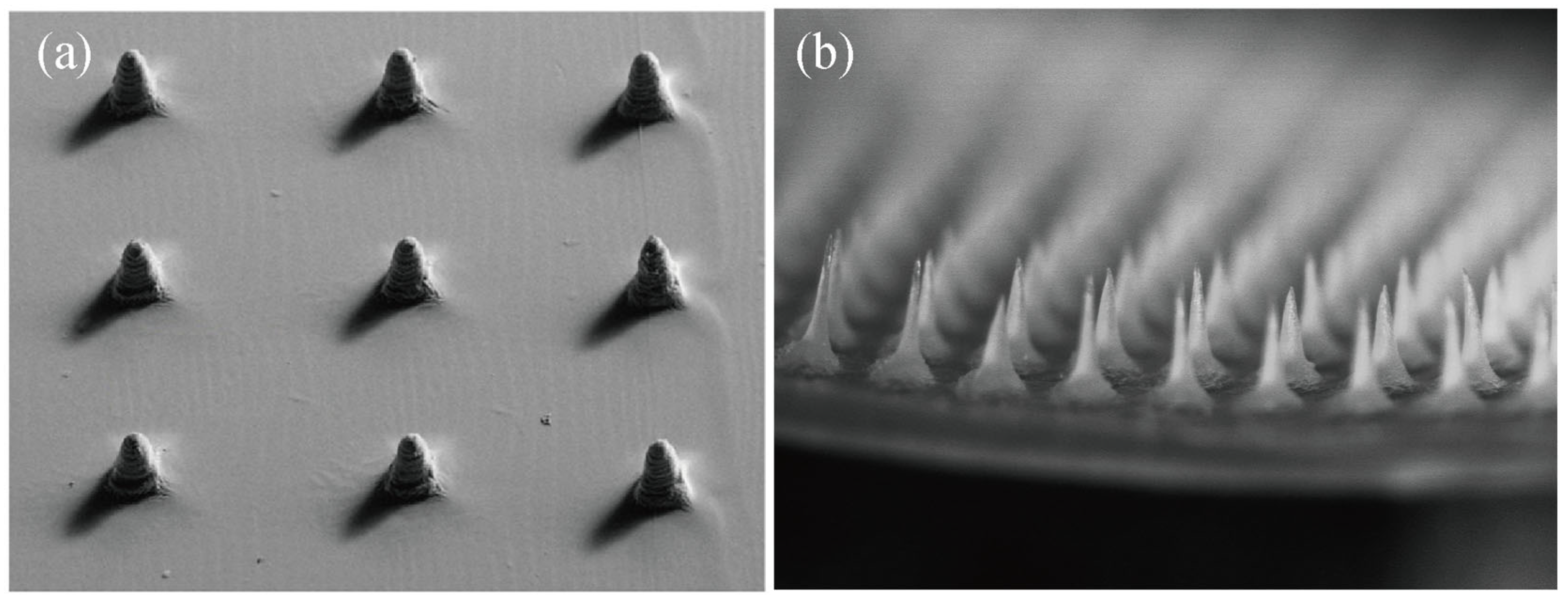 Pharmaceutics 15 00355 g005