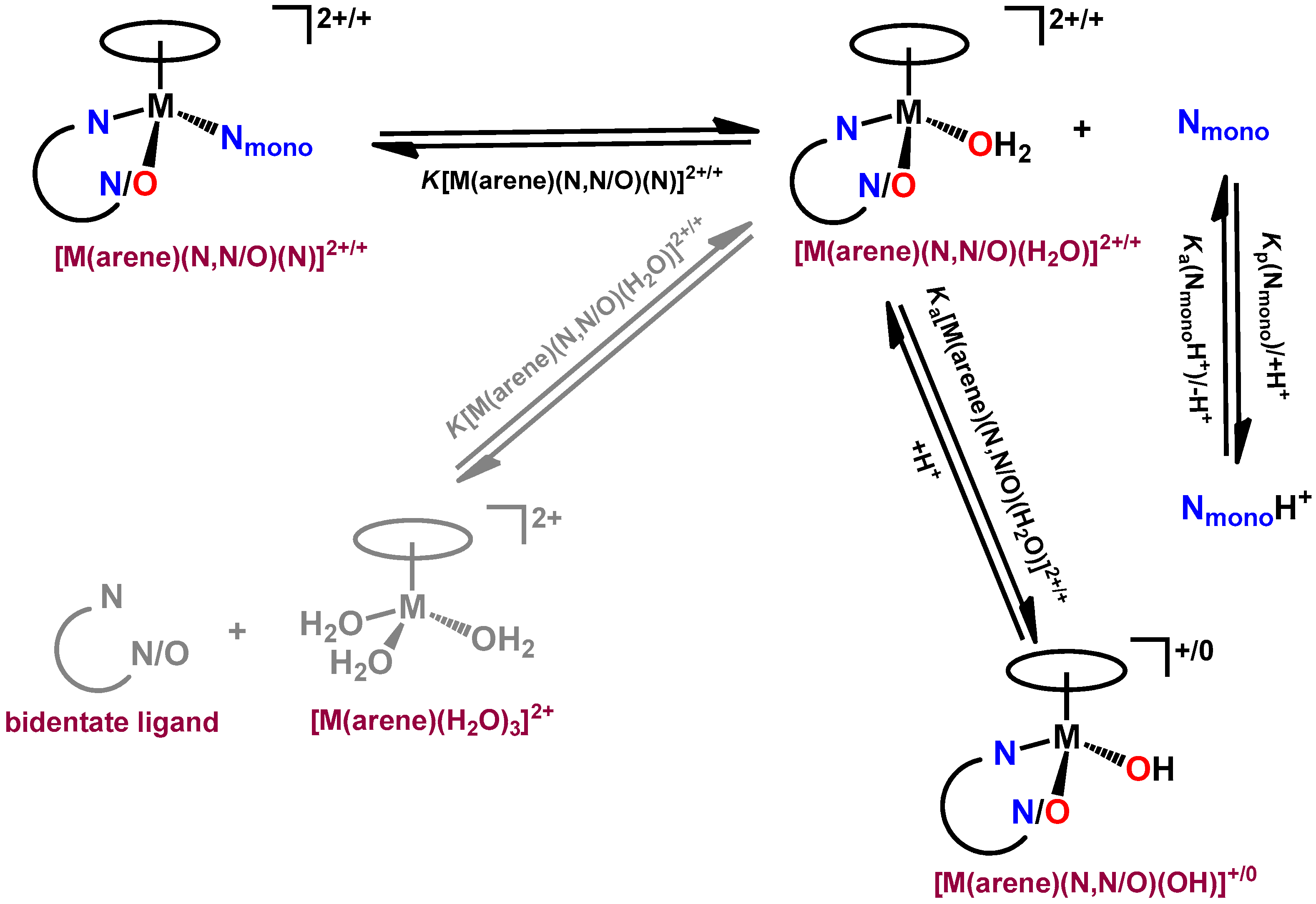 Pharmaceutics 15 00356 sch002