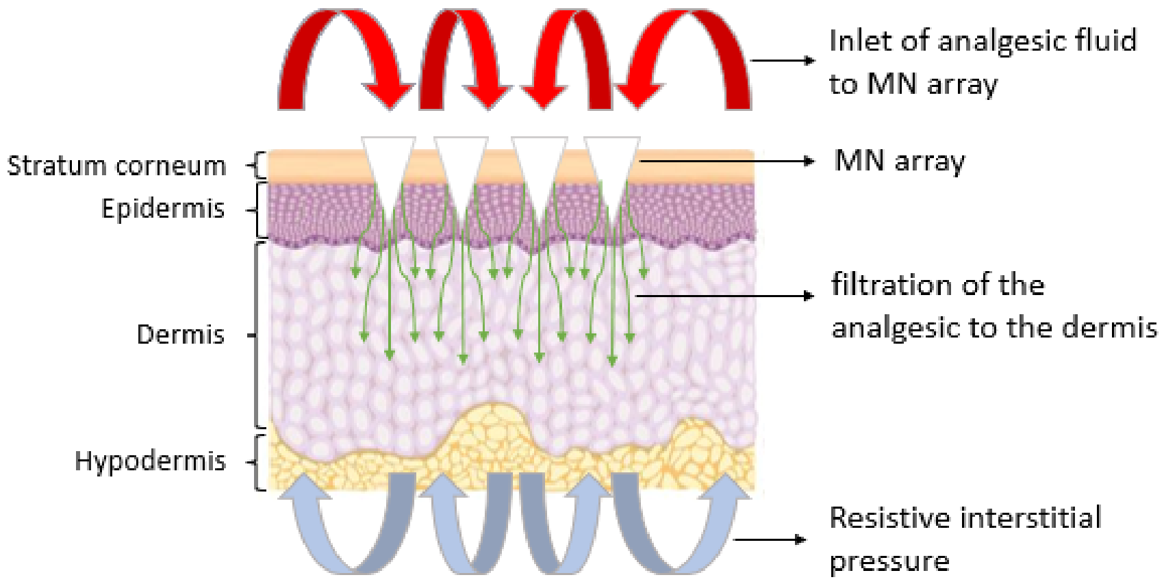 Pharmaceutics 15 00358 g001