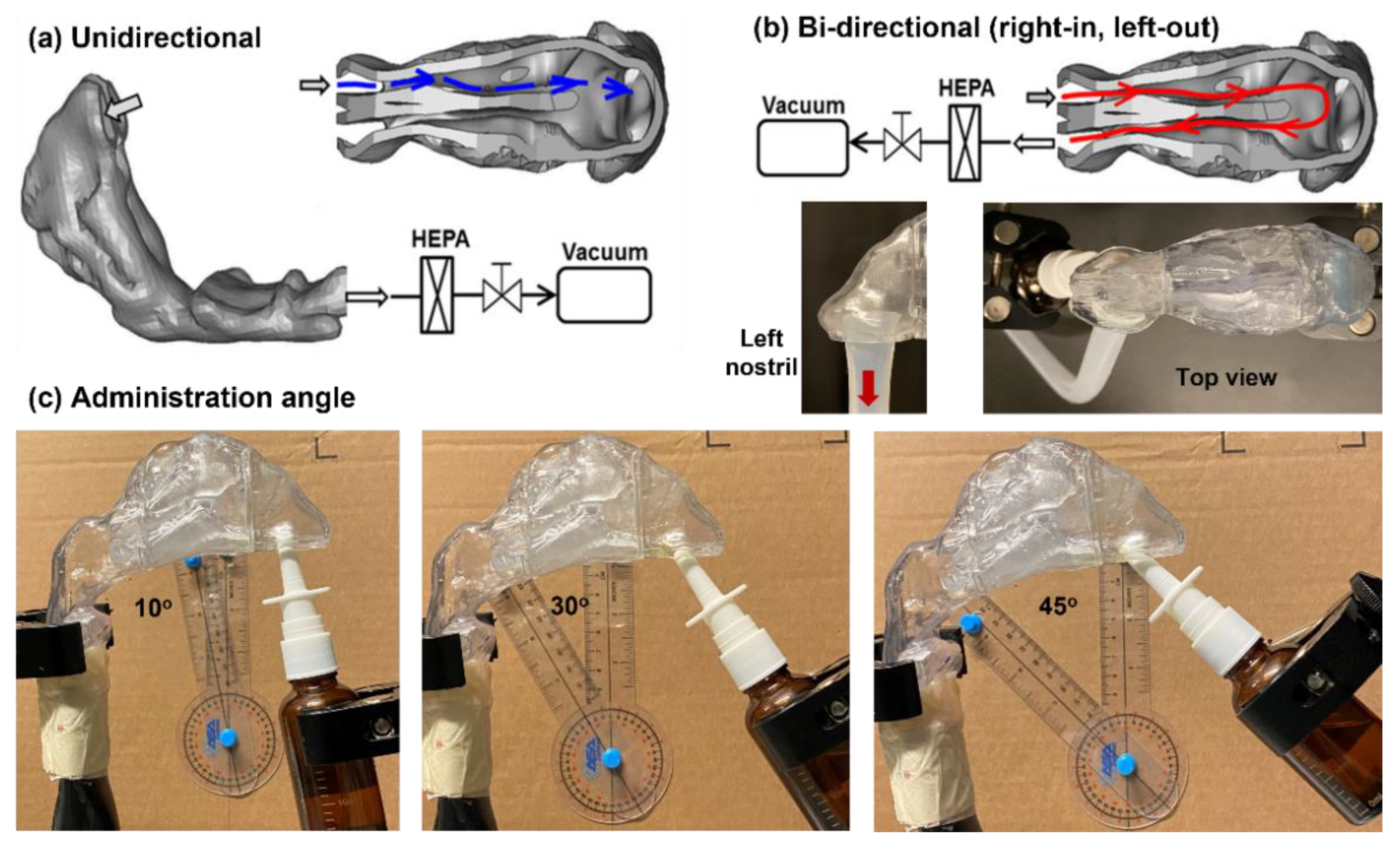 Pharmaceutics 15 00359 g001 Pharmaceutics 15 00359 g001