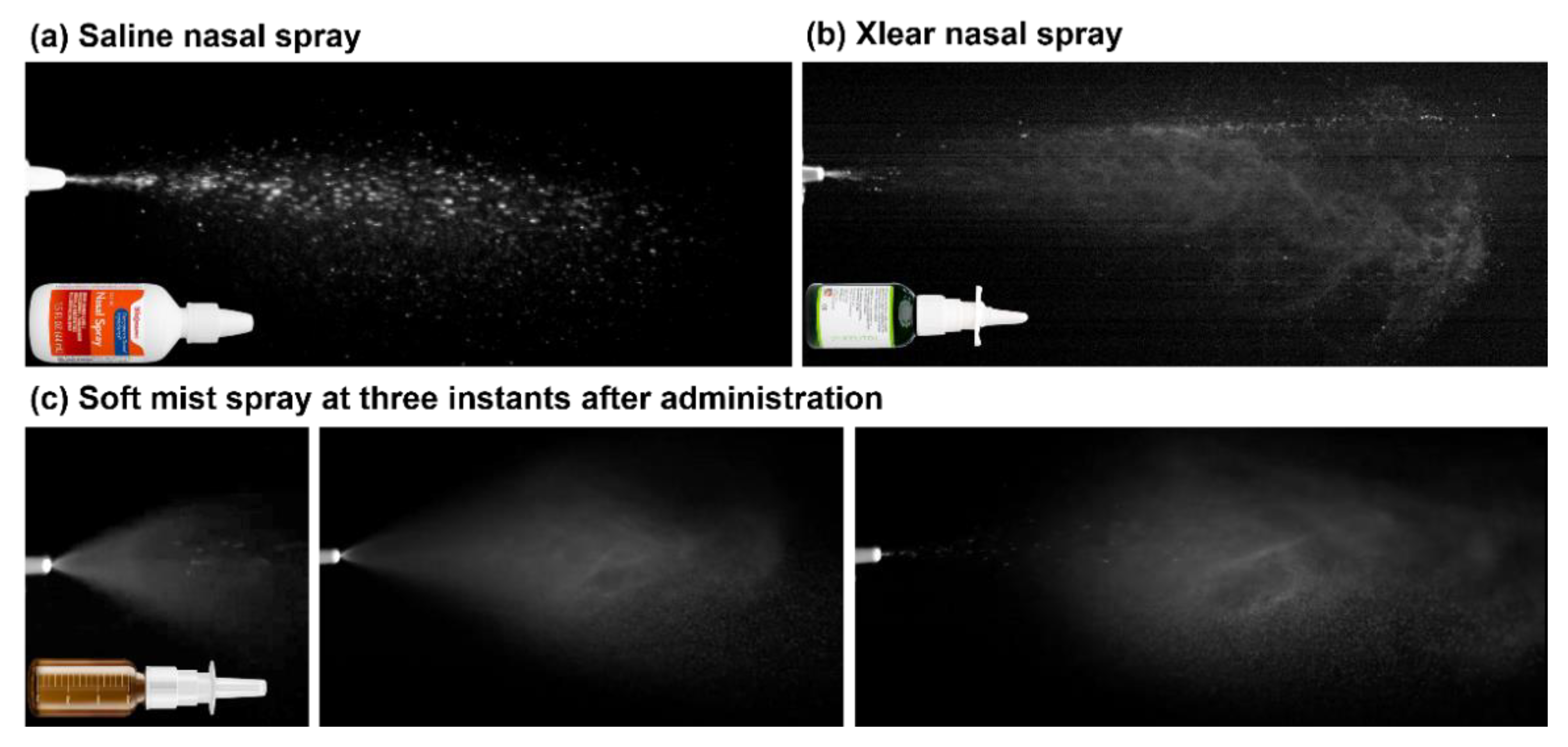 Pharmaceutics 15 00359 g002 Pharmaceutics 15 00359 g002