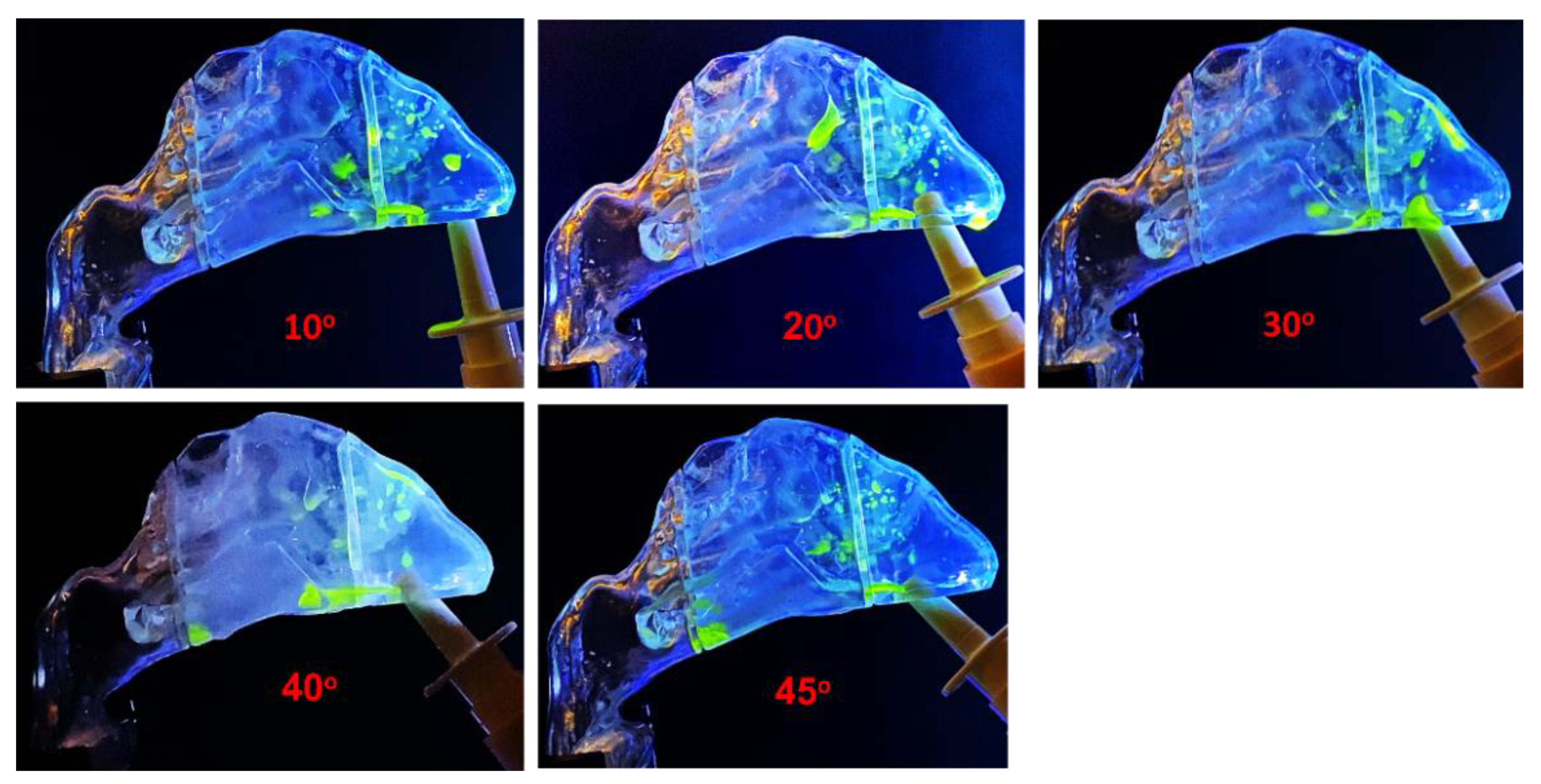 Pharmaceutics 15 00359 g003 Pharmaceutics 15 00359 g003
