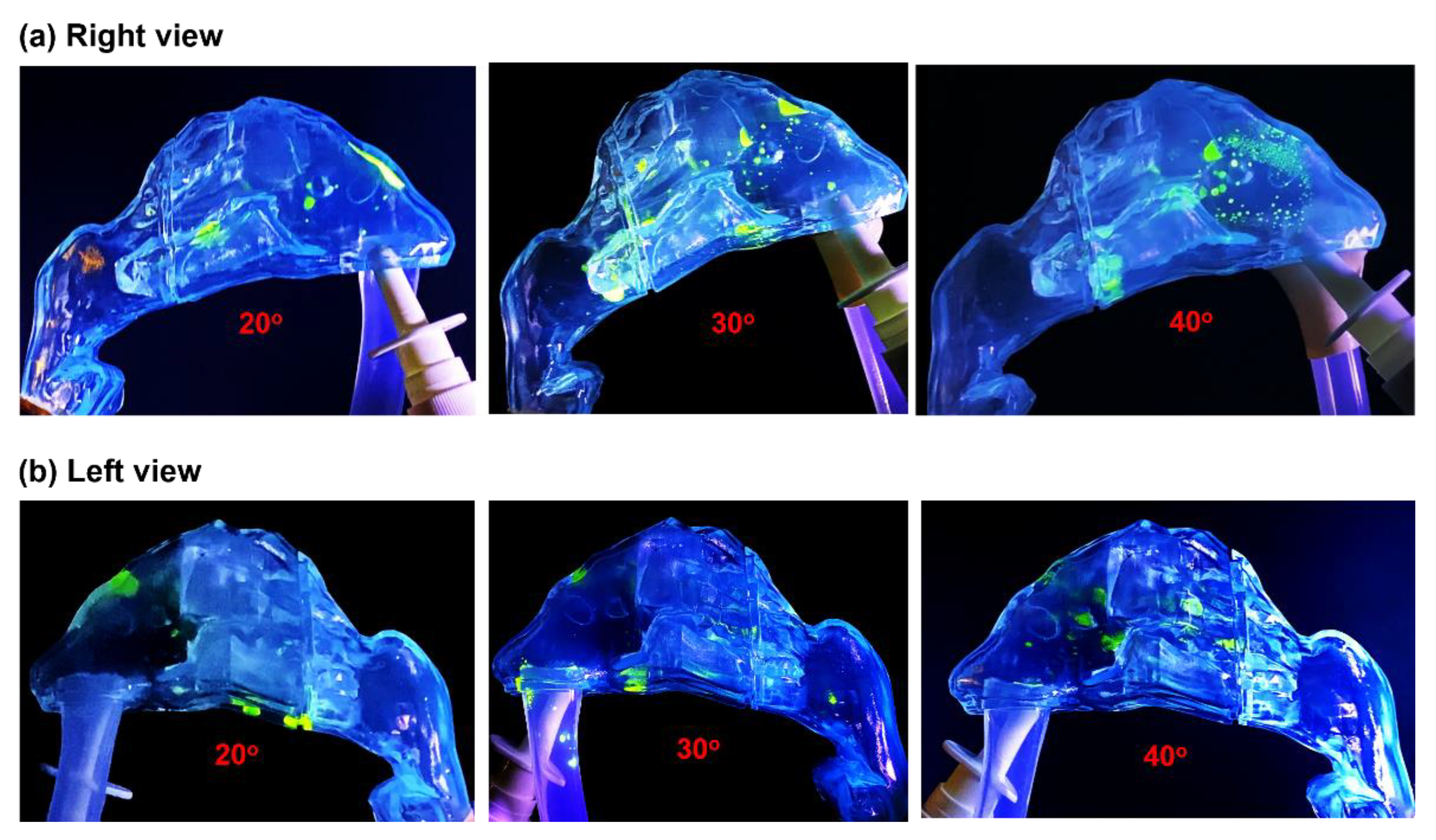 Pharmaceutics 15 00359 g004 Pharmaceutics 15 00359 g004