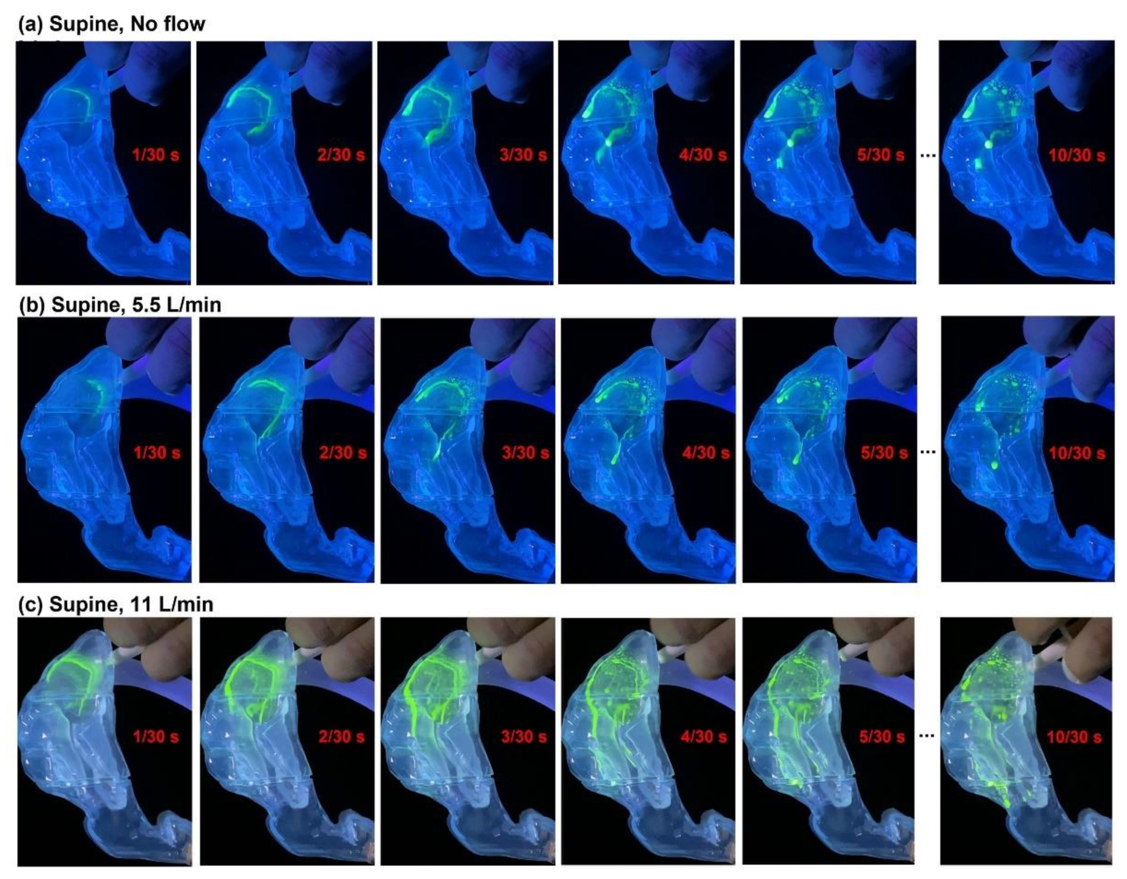 Pharmaceutics 15 00359 g005 Pharmaceutics 15 00359 g005