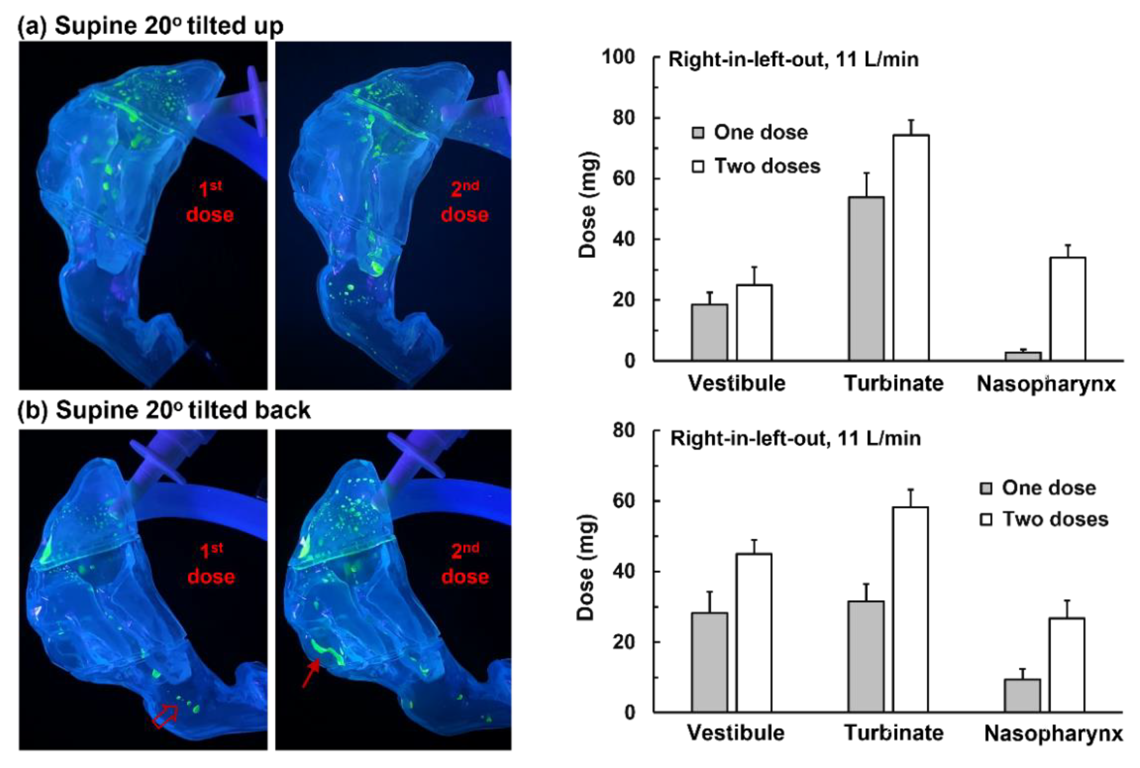 Pharmaceutics 15 00359 g007 Pharmaceutics 15 00359 g007