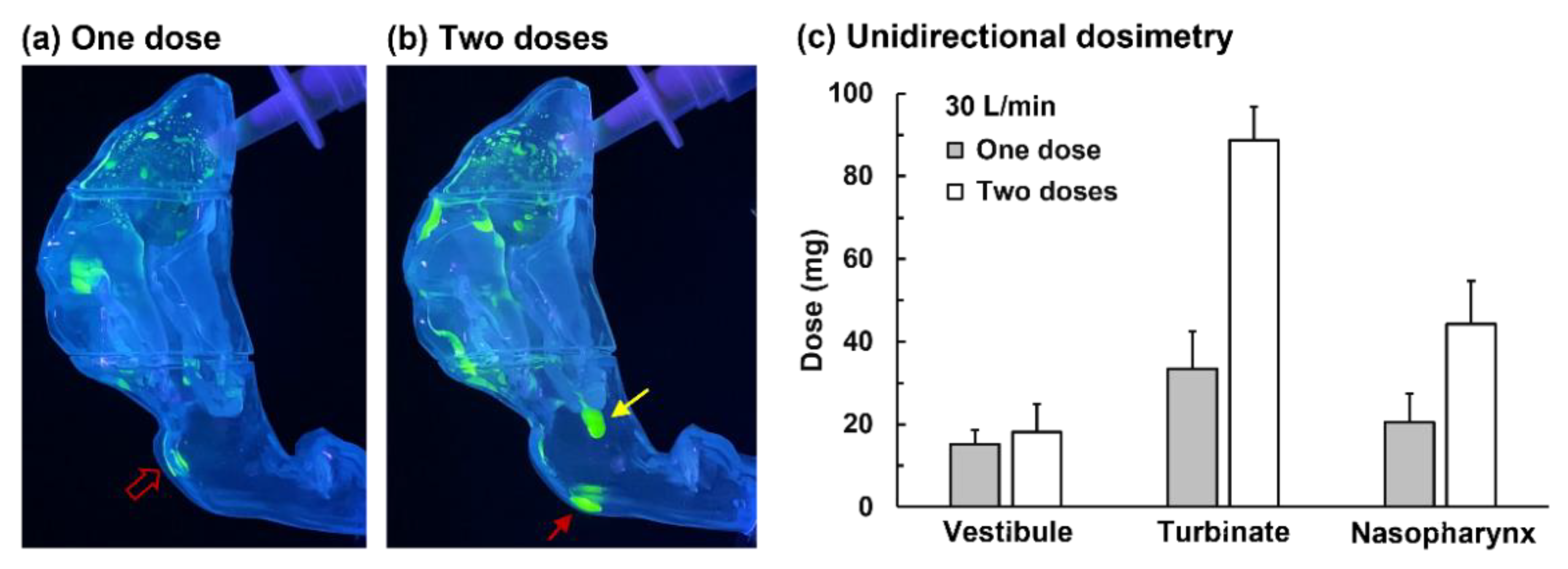 Pharmaceutics 15 00359 g008 Pharmaceutics 15 00359 g008