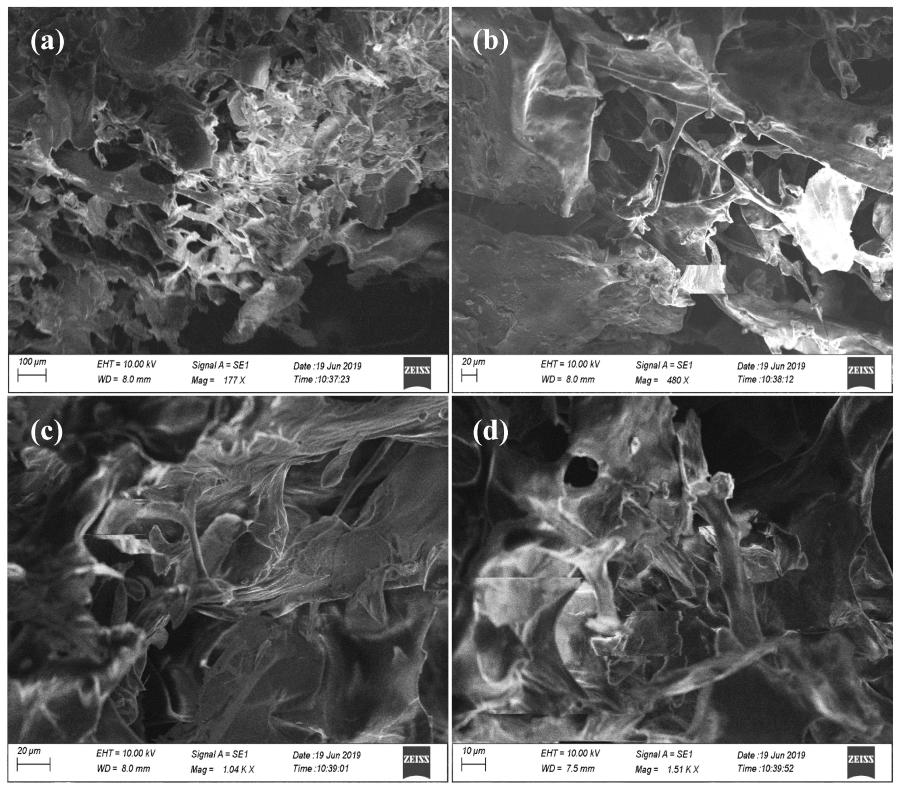 Pharmaceutics 15 00362 g005 Pharmaceutics 15 00362 g005